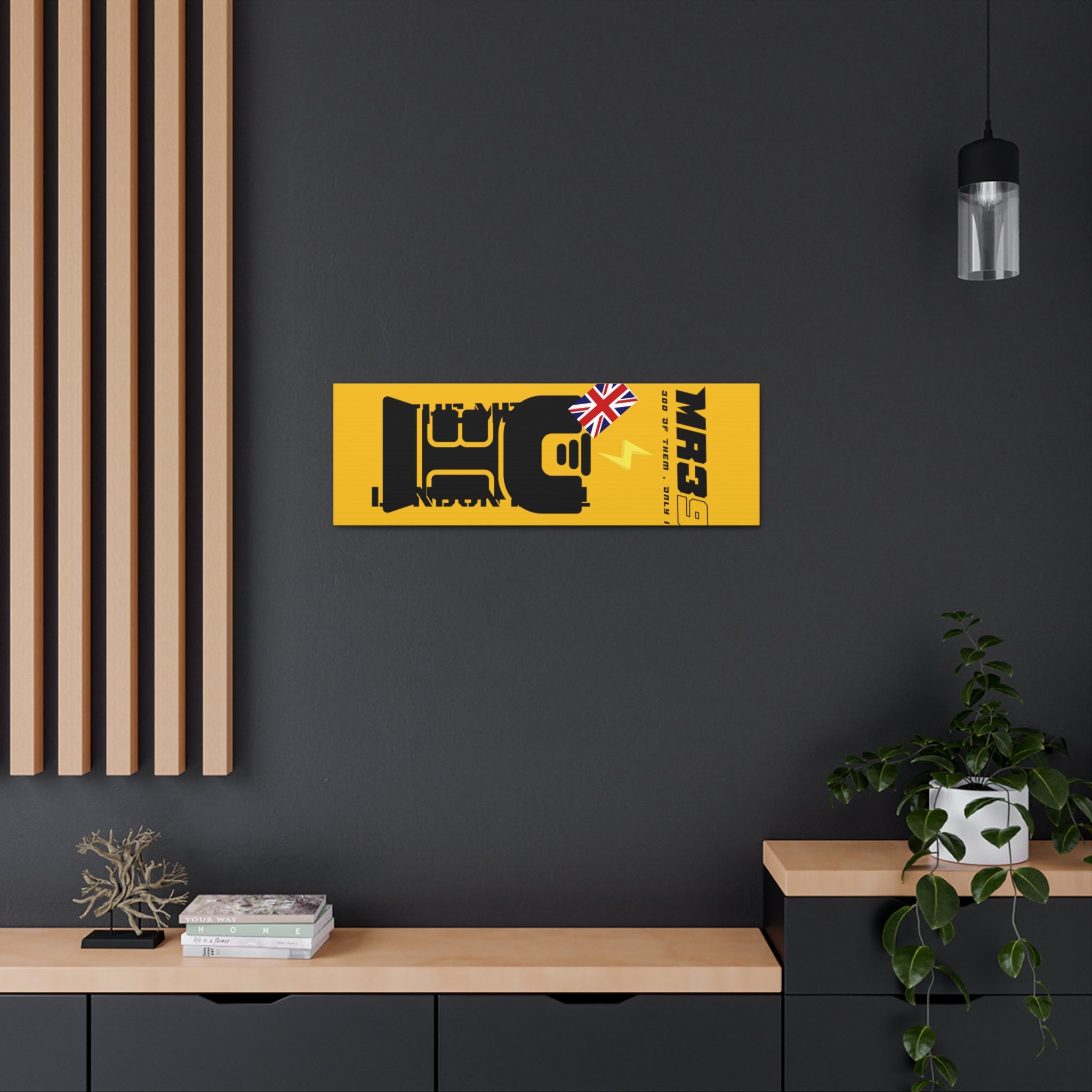 Canvas Gallery Wraps MR 39 Tasered by The MET 2021