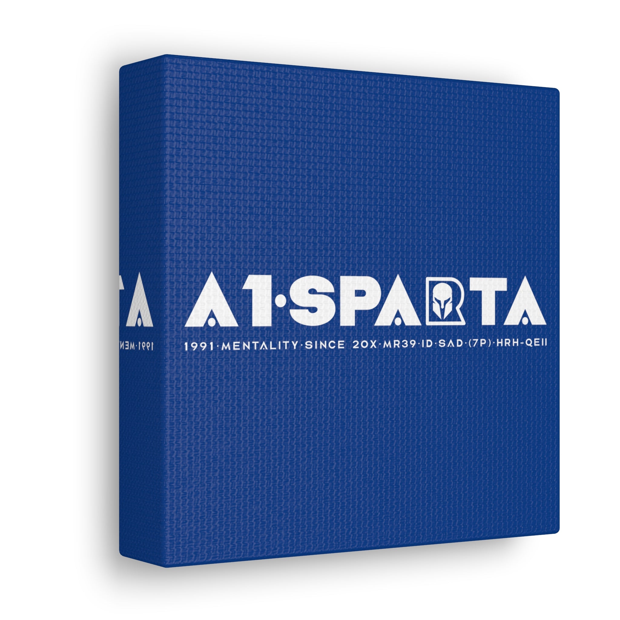 Canvas Gallery Wraps (A1•SPARTA RANGE)