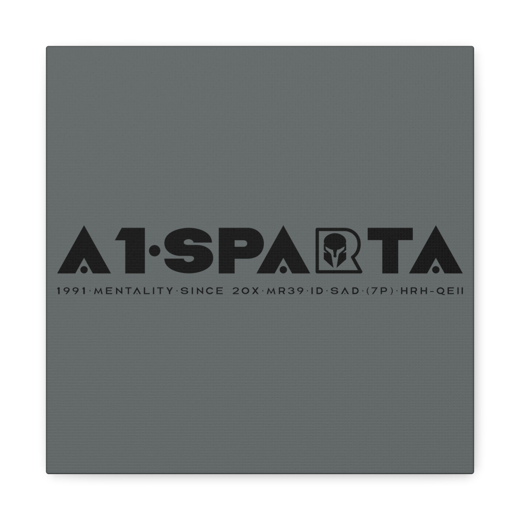 Canvas Gallery Wraps (A1•SPARTA RANGE)