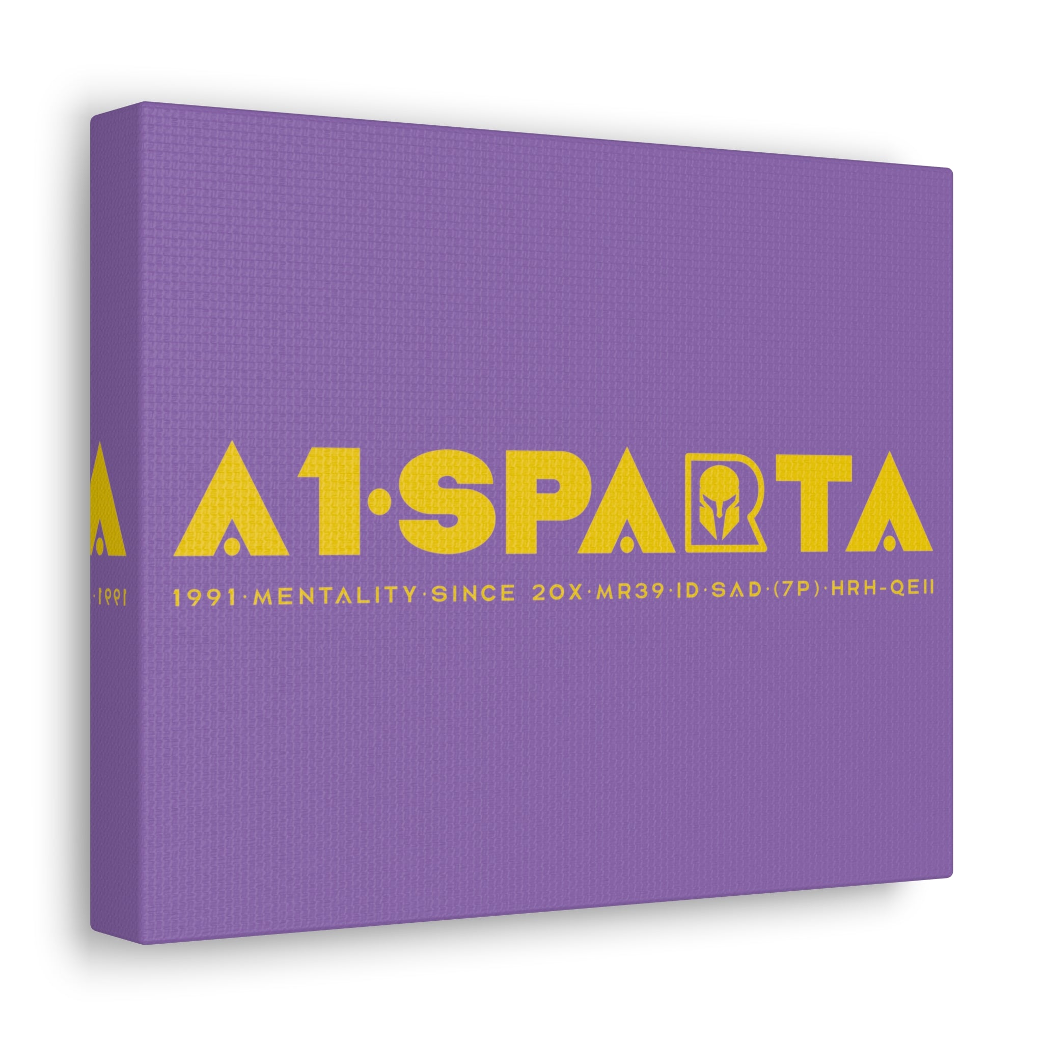 Canvas Gallery Wraps (A1•SPARTA RANGE)