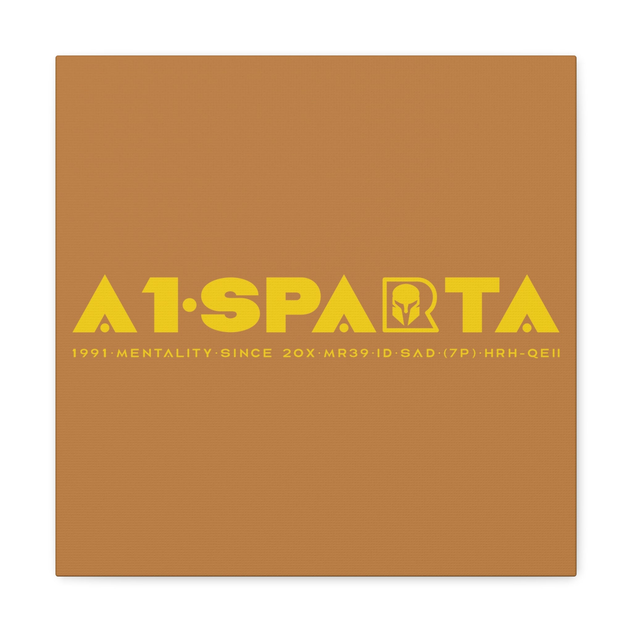 Canvas Gallery Wraps (A1•SPARTA RANGE)