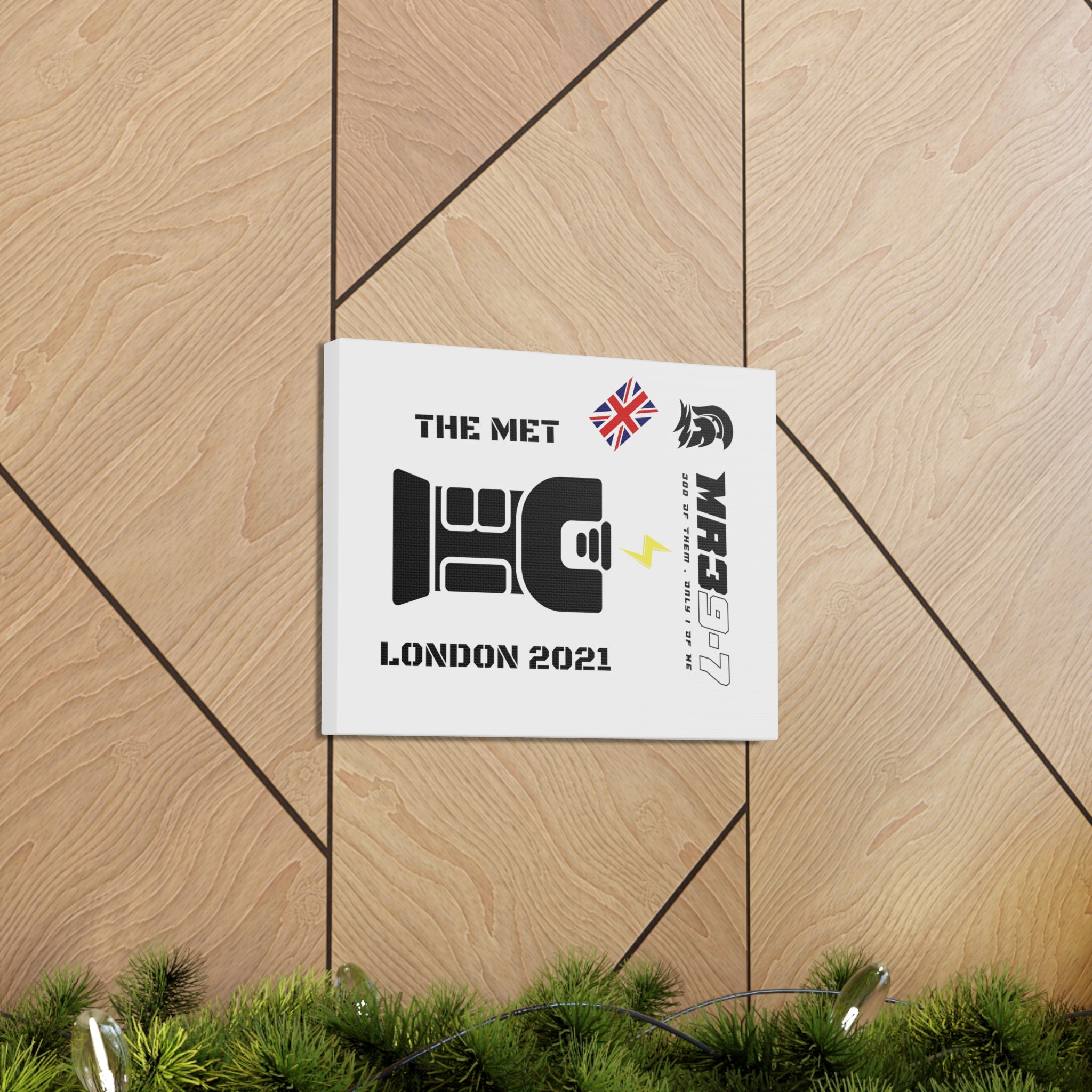 Copy of Canvas Gallery Wraps MR 39 Tasered by The MET 2021