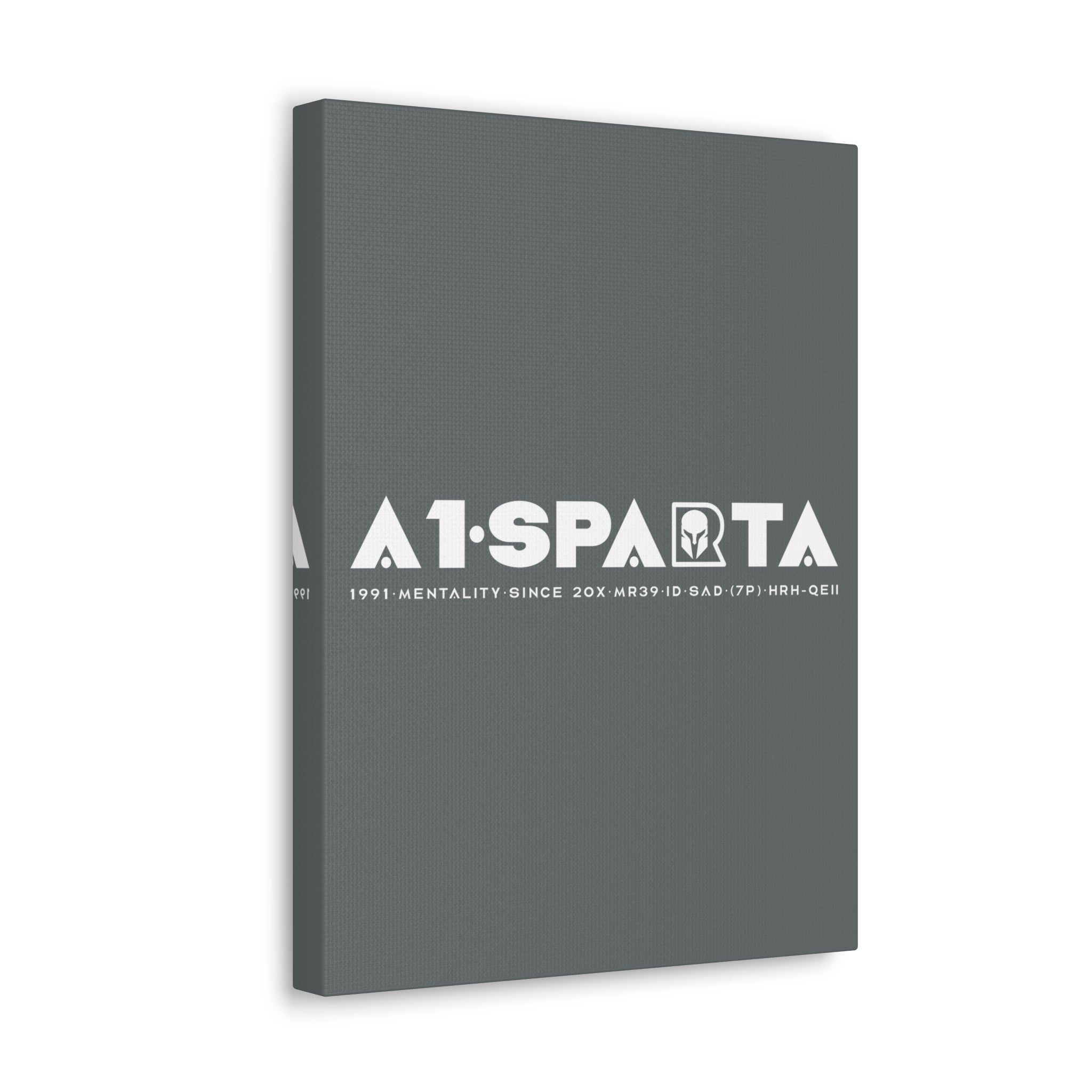 Canvas Gallery Wraps (A1•SPARTA RANGE)