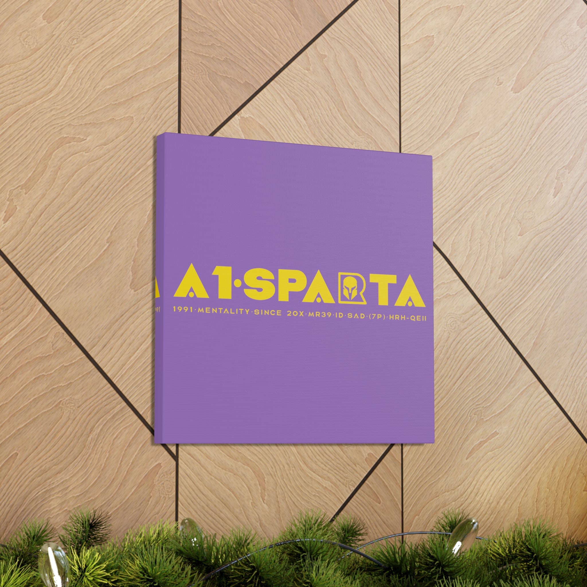 Canvas Gallery Wraps (A1•SPARTA RANGE)