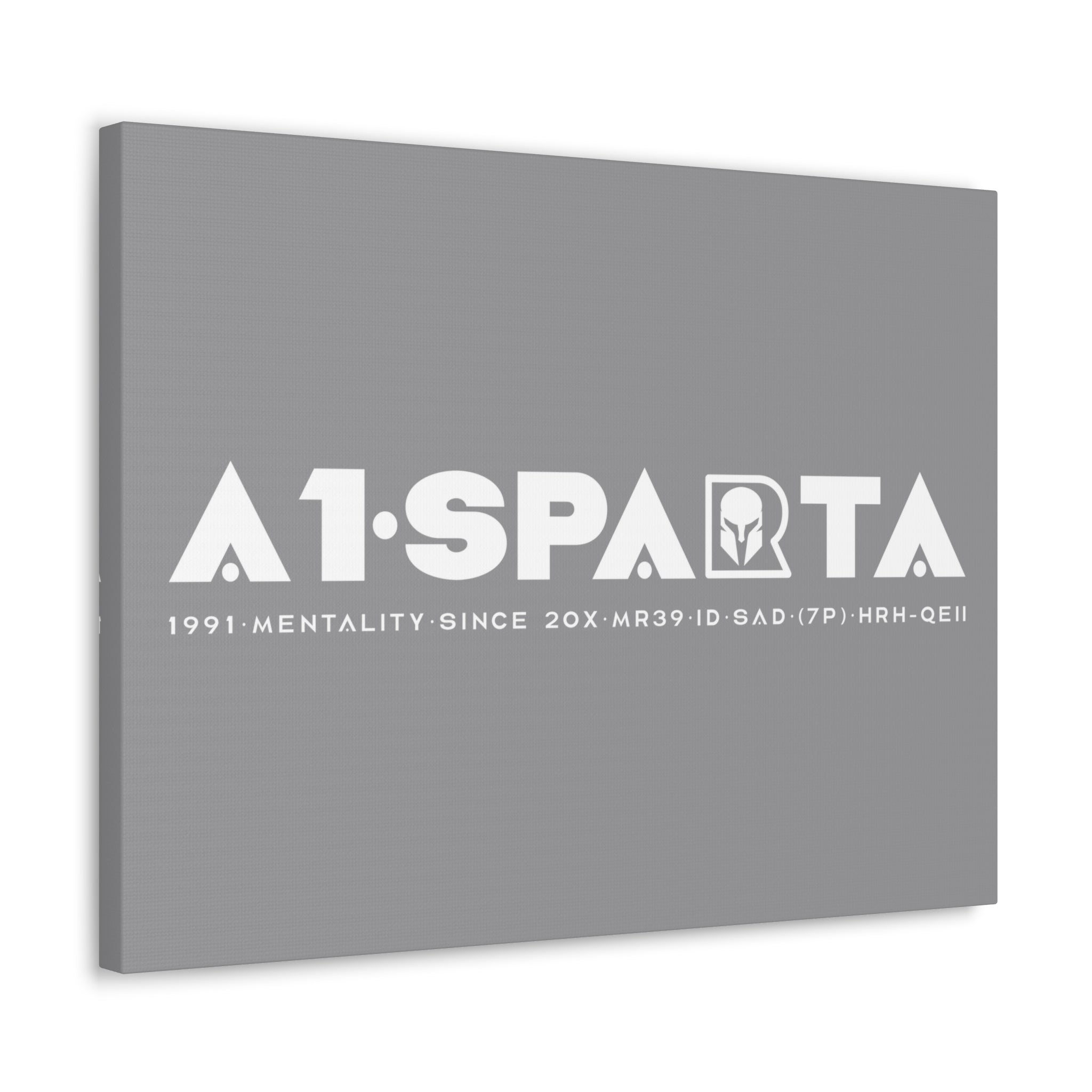 Canvas Gallery Wraps (A1•SPARTA RANGE)