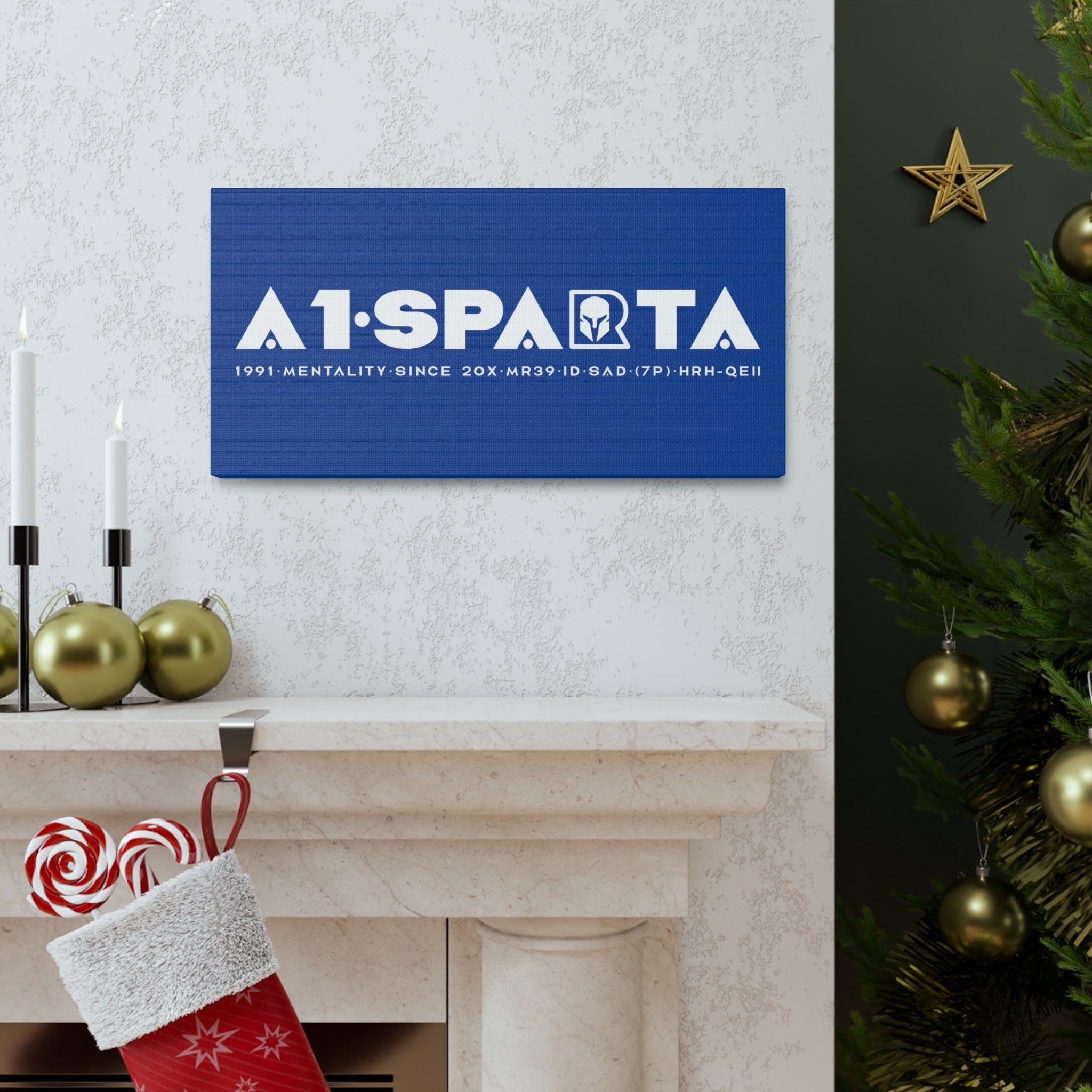 Canvas Gallery Wraps (A1•SPARTA RANGE)