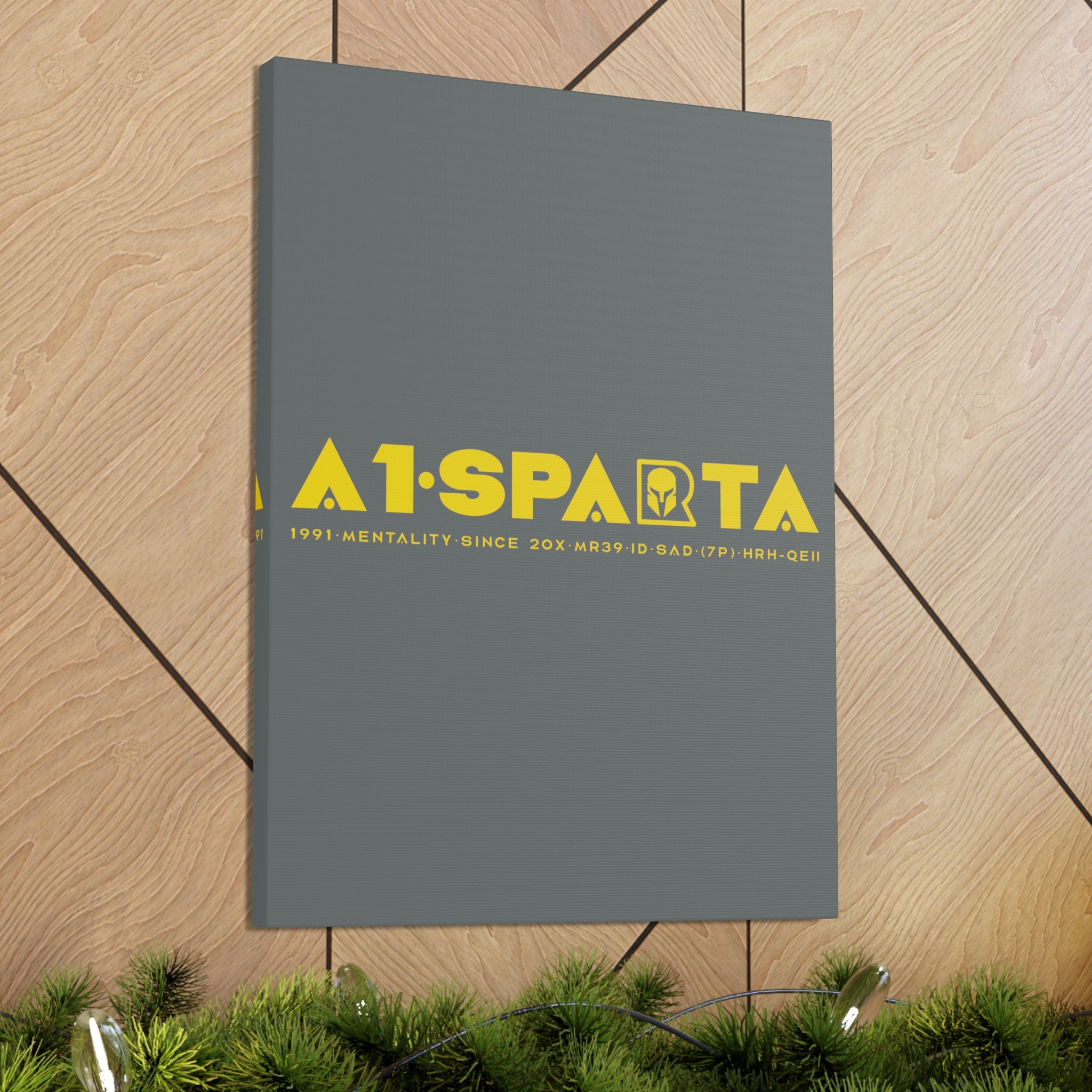 Canvas Gallery Wraps (A1•SPARTA RANGE)