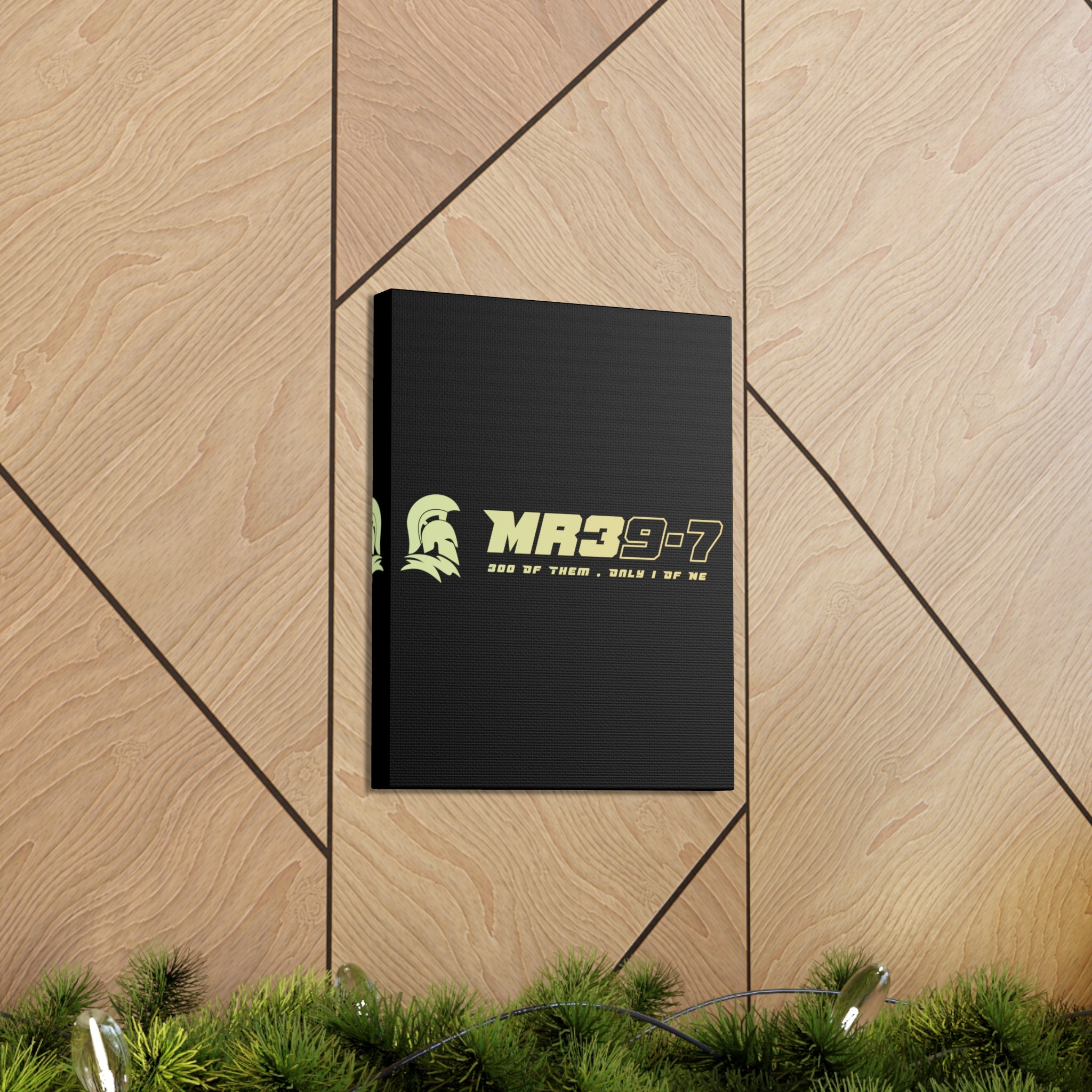 Canvas Gallery Wraps (A1•SPARTA RANGE)