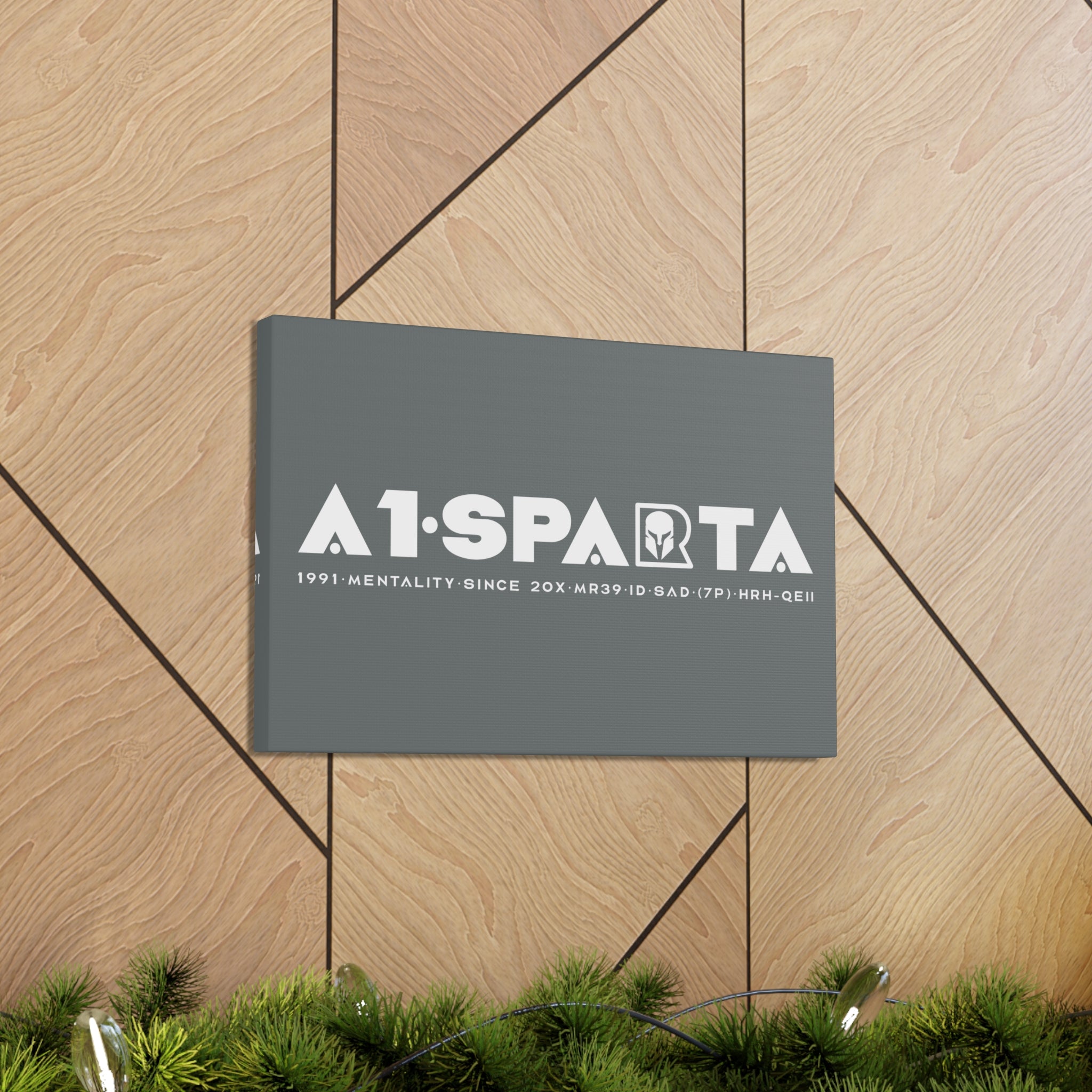 Canvas Gallery Wraps (A1•SPARTA RANGE)