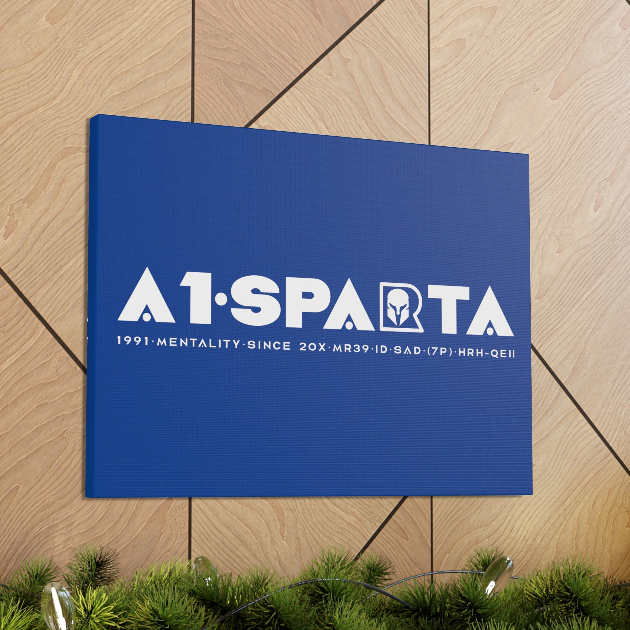 Canvas Gallery Wraps (A1•SPARTA RANGE)