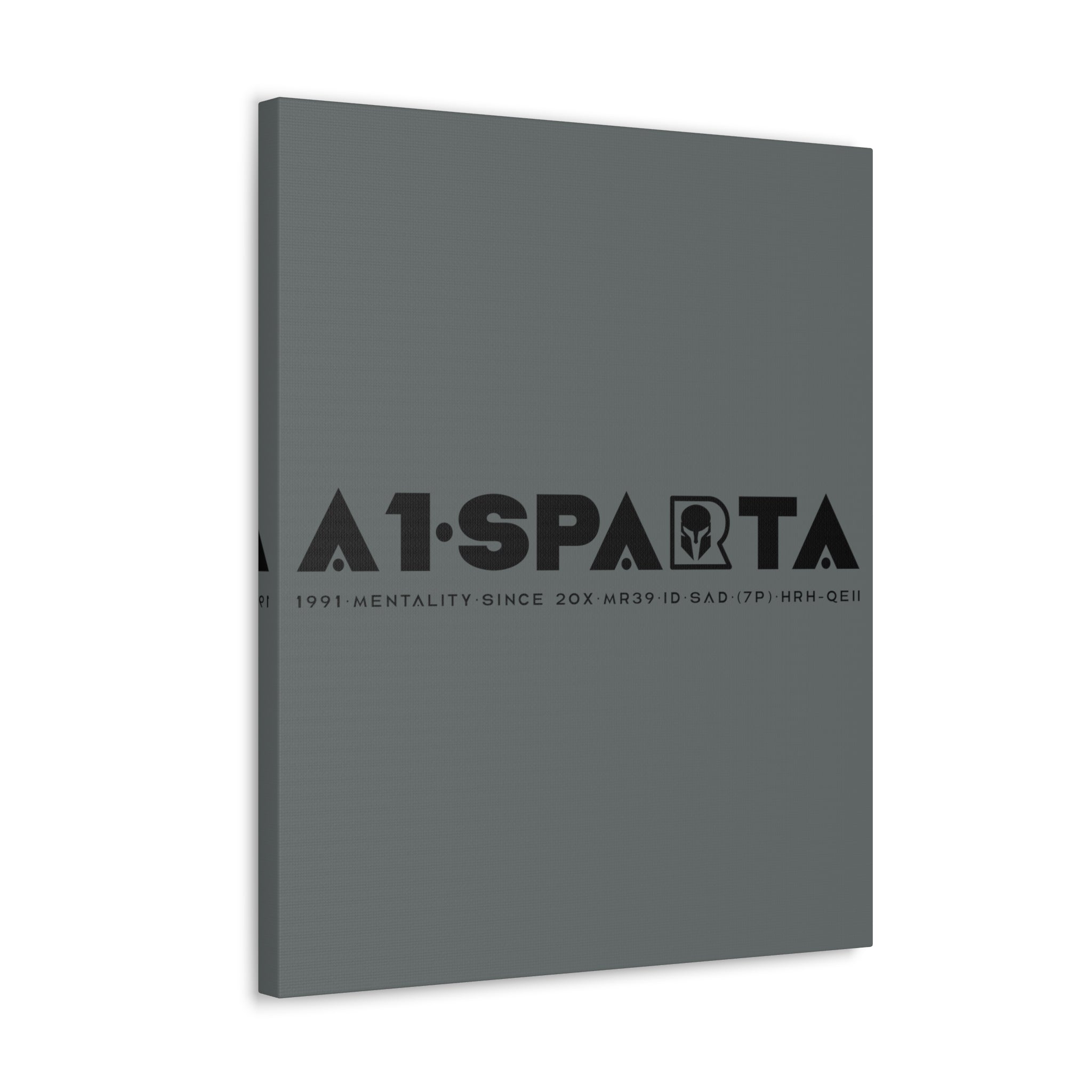 Canvas Gallery Wraps (A1•SPARTA RANGE)