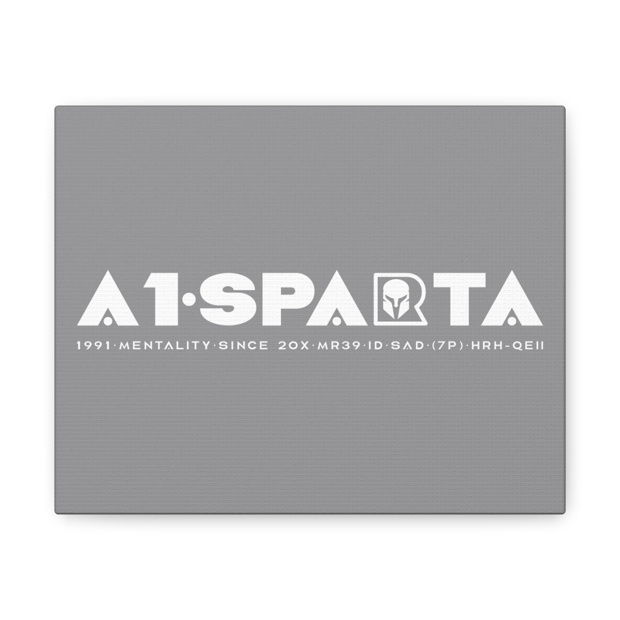 Canvas Gallery Wraps (A1•SPARTA RANGE)