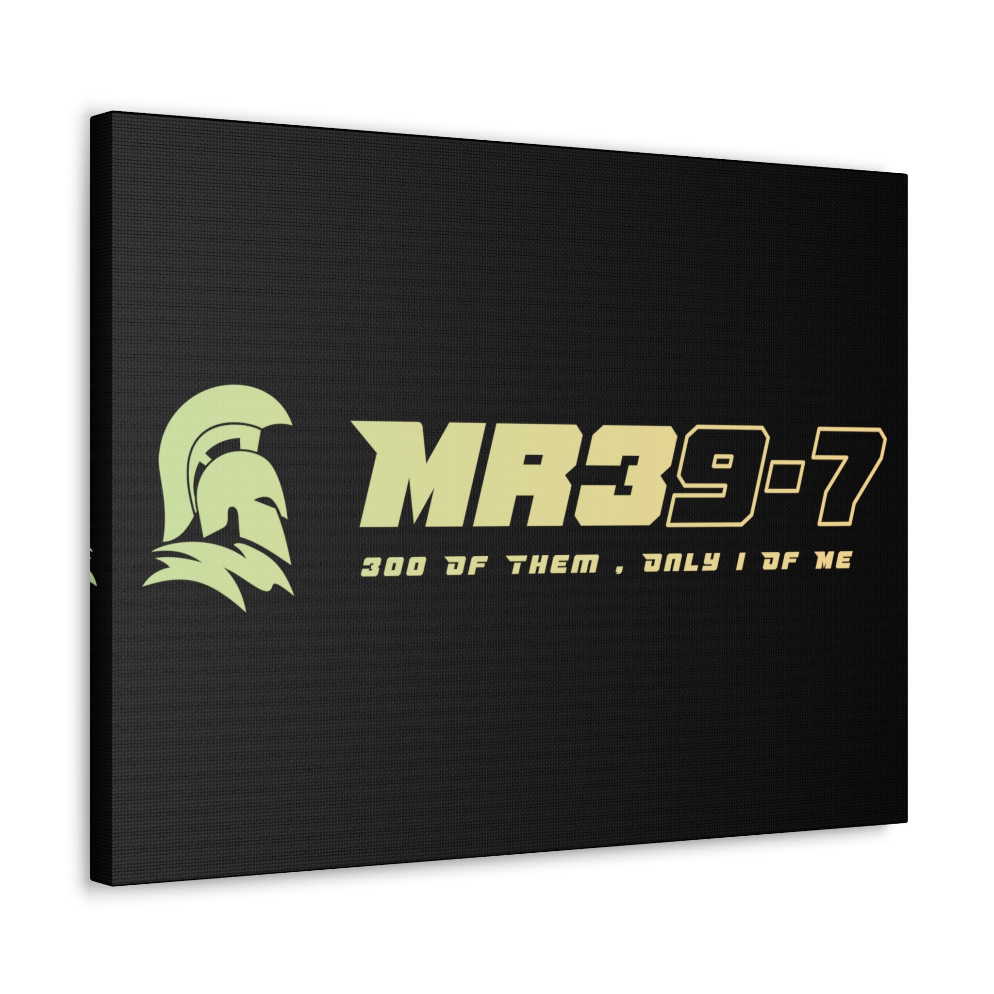 Canvas Gallery Wraps (A1•SPARTA RANGE)