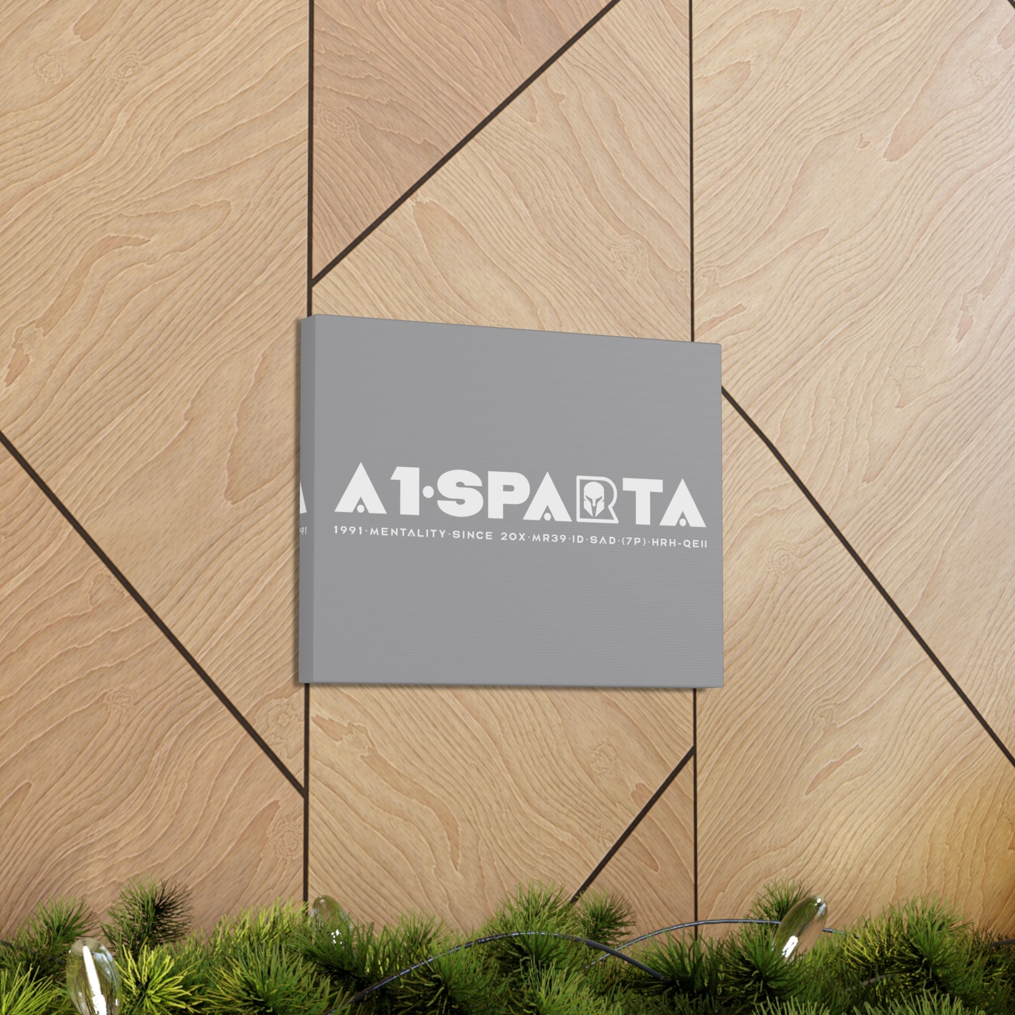 Canvas Gallery Wraps (A1•SPARTA RANGE)