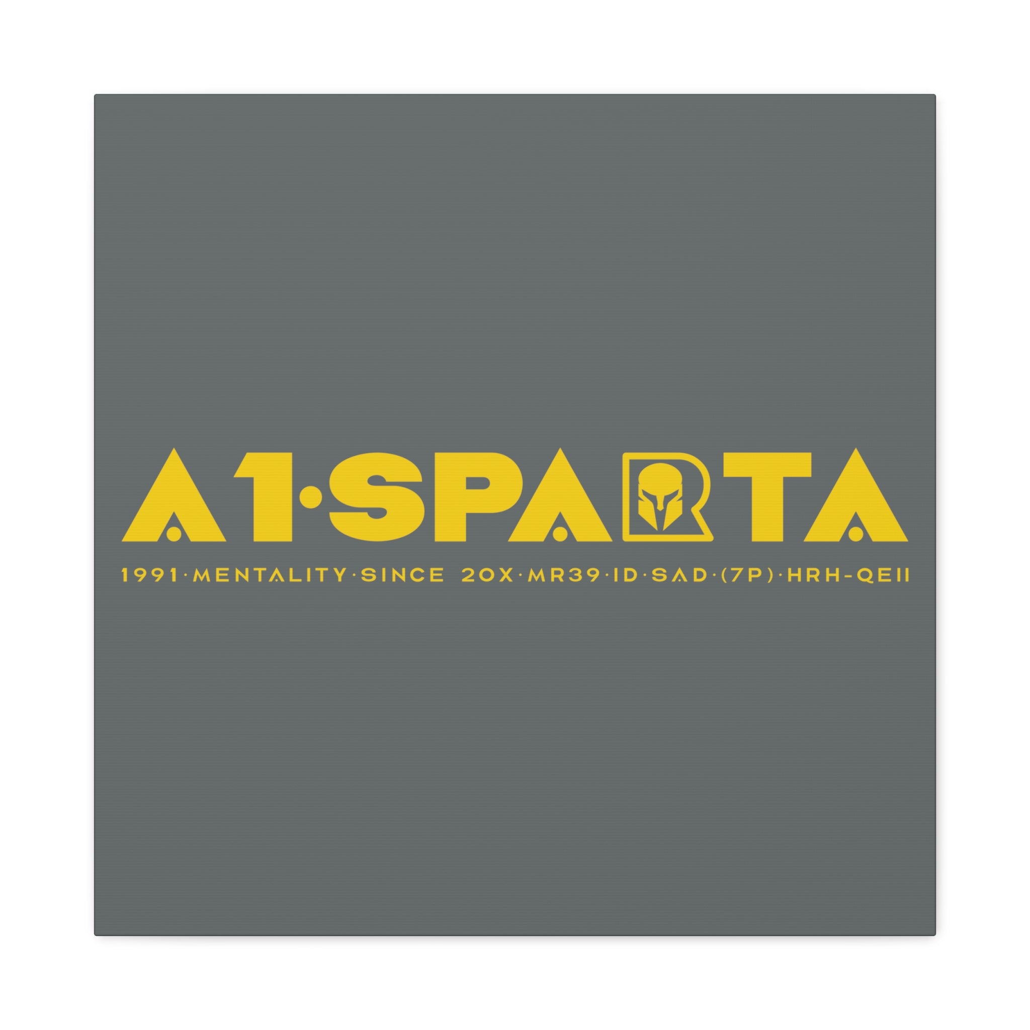 Canvas Gallery Wraps (A1•SPARTA RANGE)