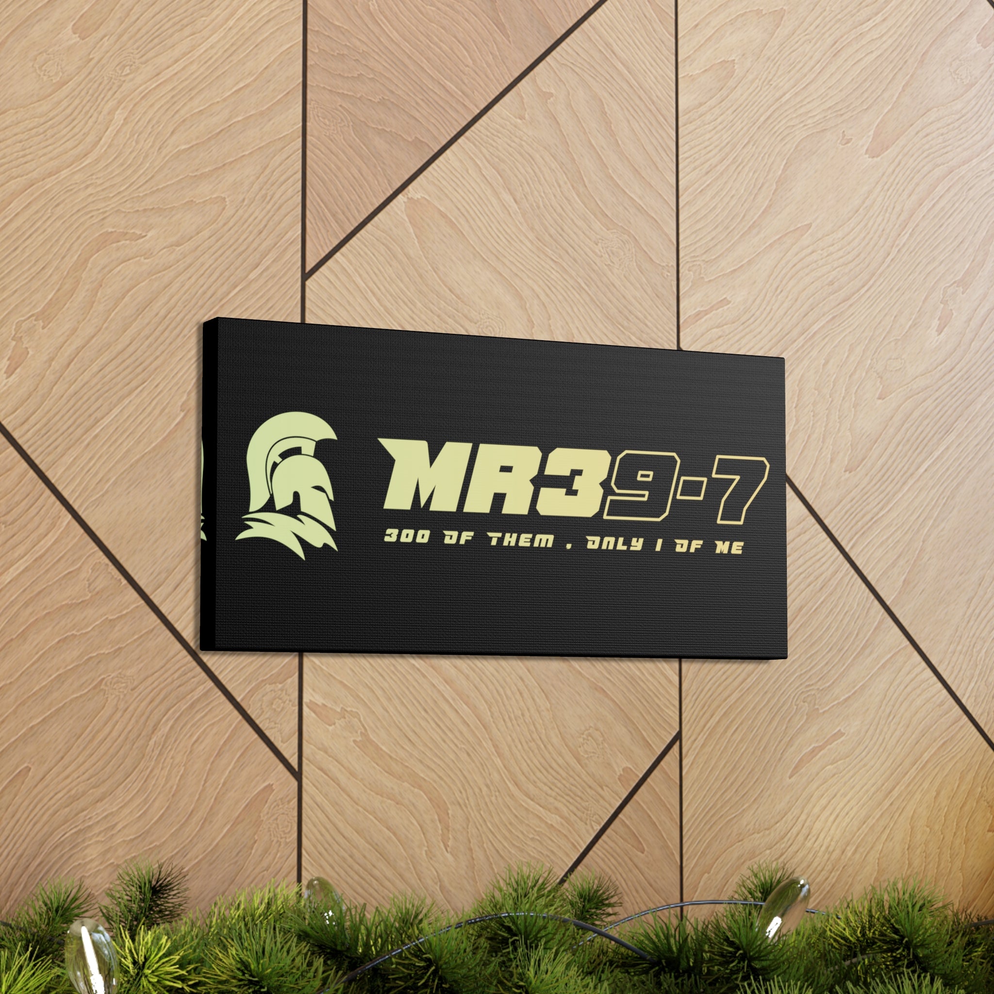 Canvas Gallery Wraps (A1•SPARTA RANGE)