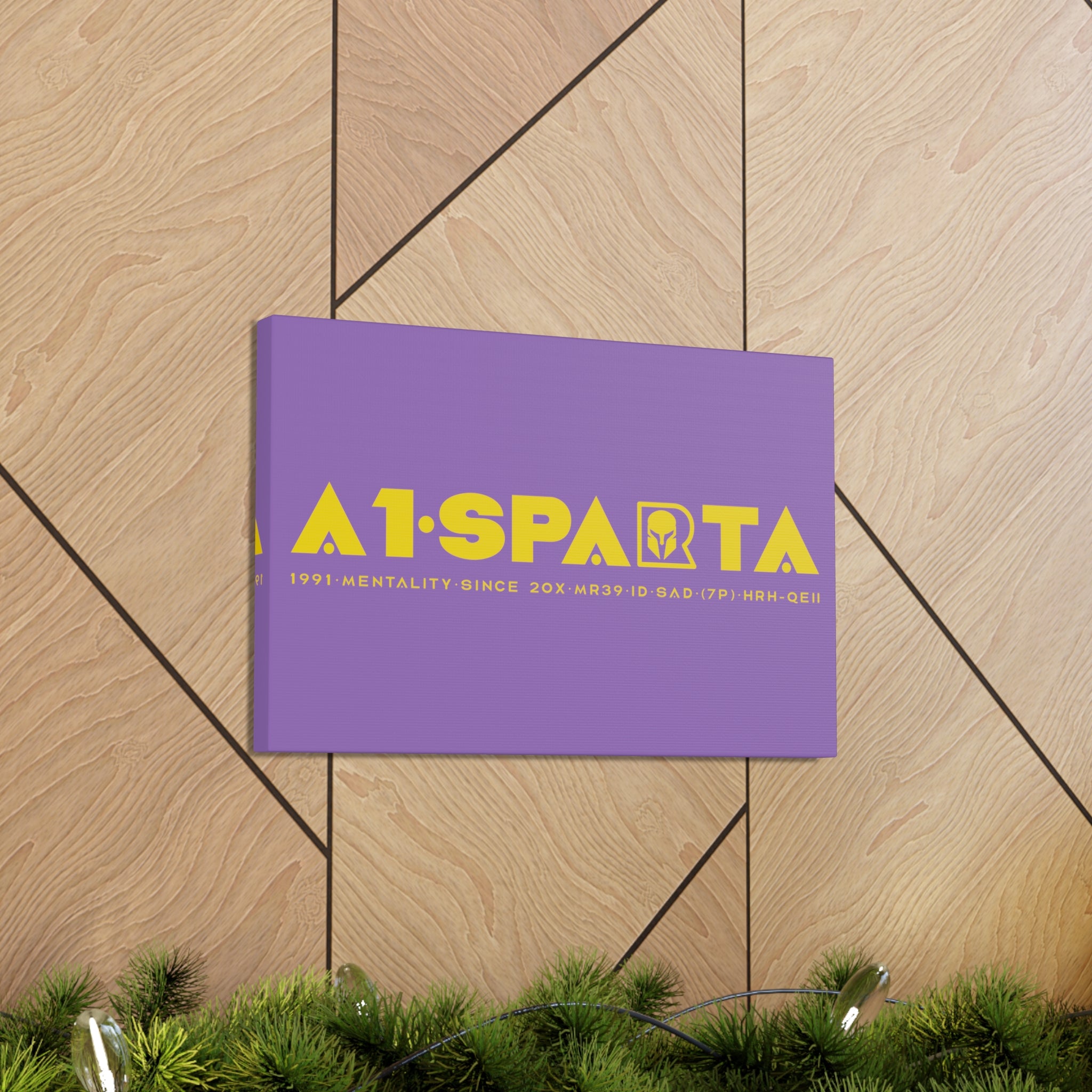 Canvas Gallery Wraps (A1•SPARTA RANGE)