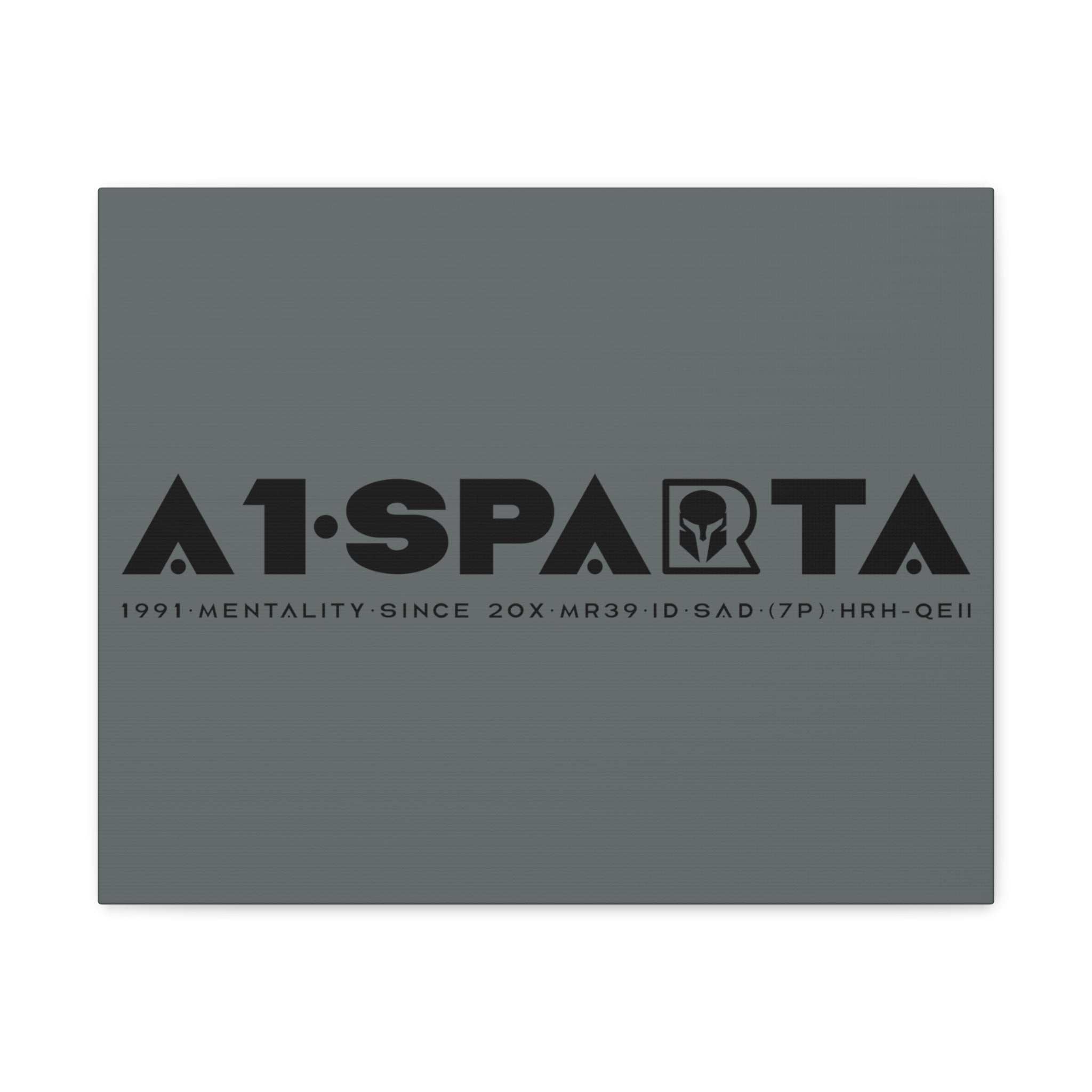 Canvas Gallery Wraps (A1•SPARTA RANGE)