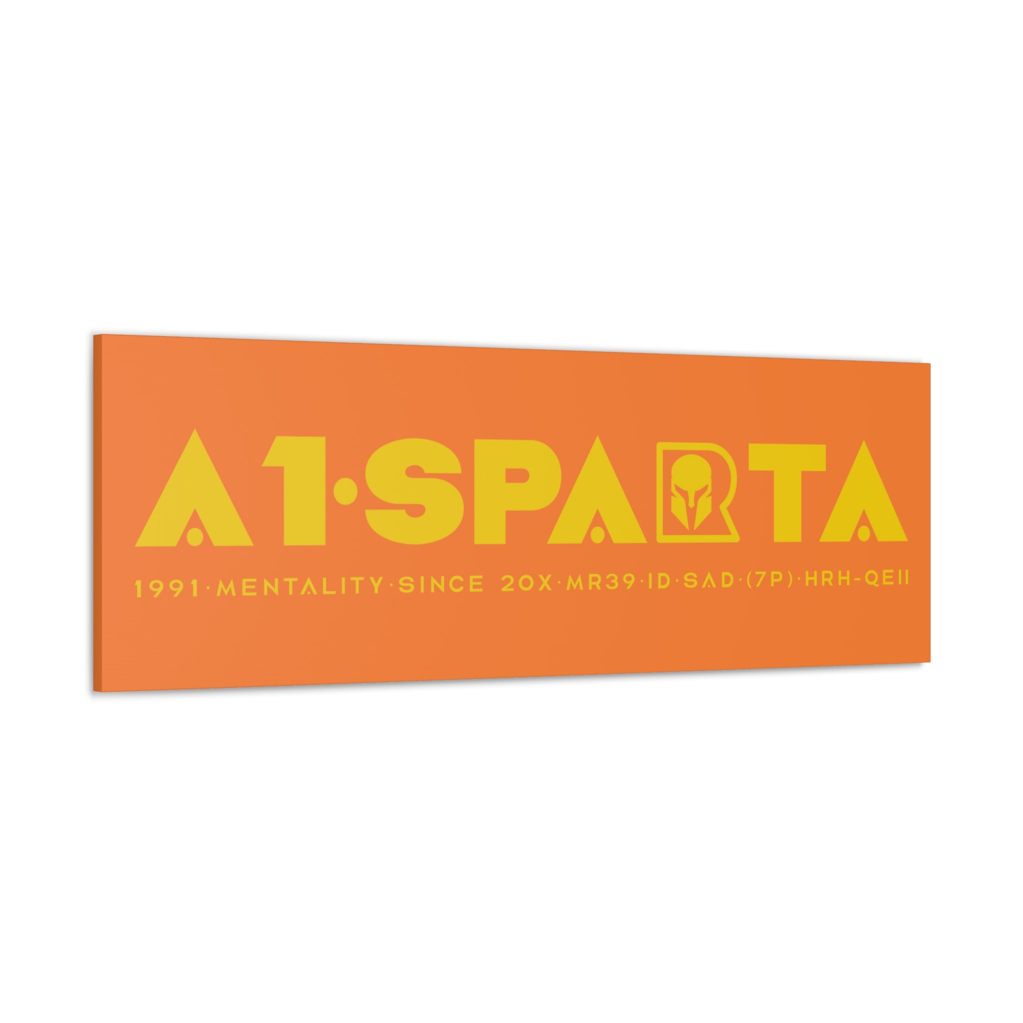 Canvas Gallery Wraps (A1•SPARTA RANGE)