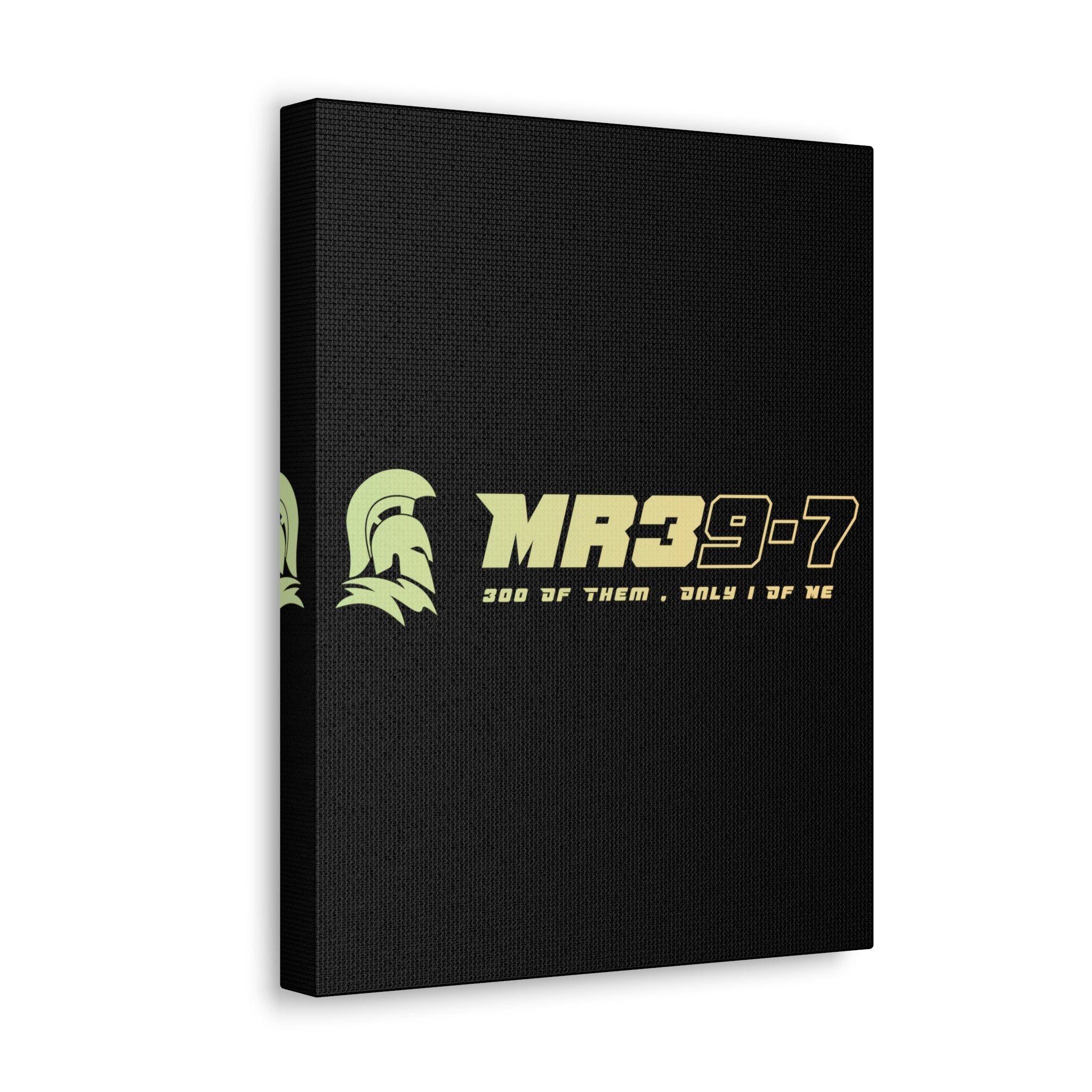 Canvas Gallery Wraps (A1•SPARTA RANGE)