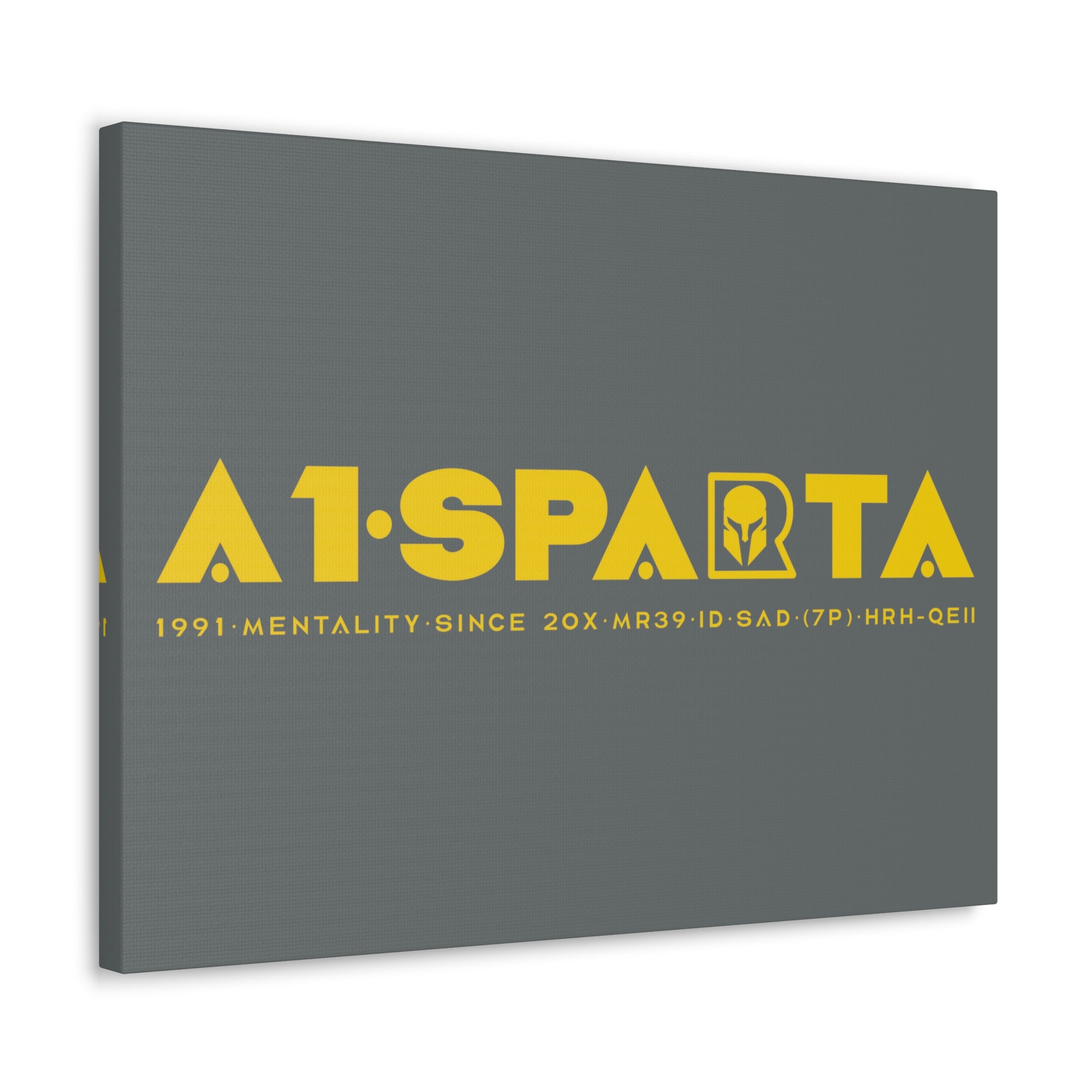 Canvas Gallery Wraps (A1•SPARTA RANGE)