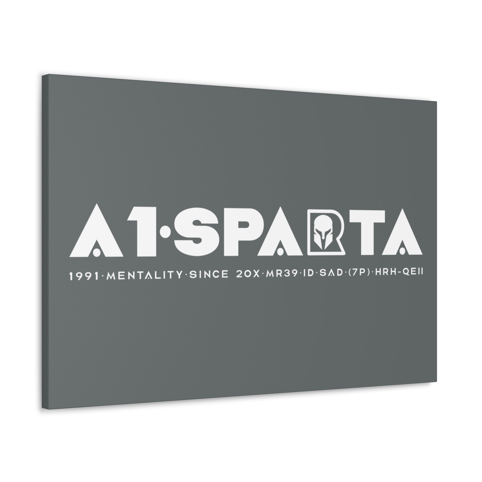 Canvas Gallery Wraps (A1•SPARTA RANGE)