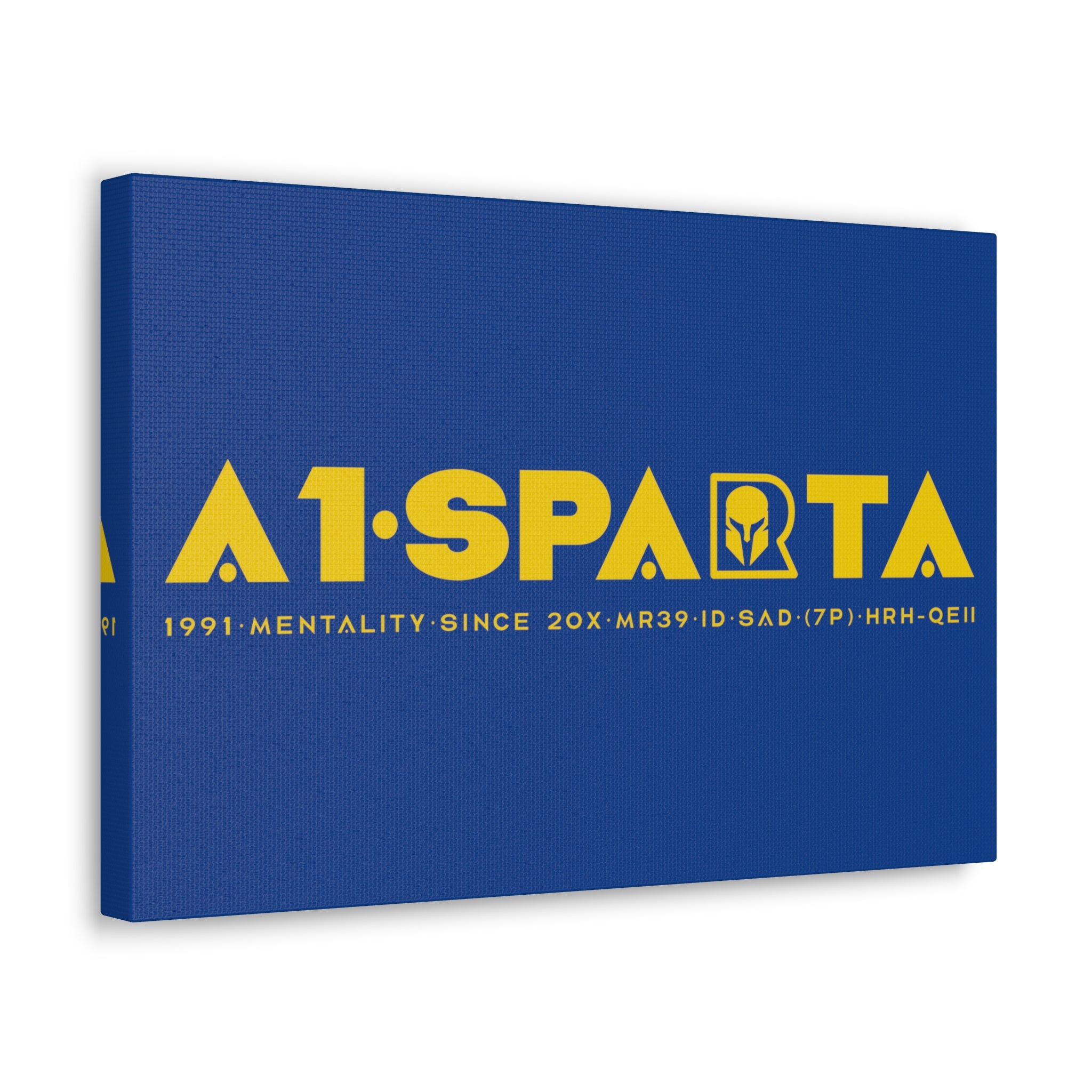 Canvas Gallery Wraps (A1•SPARTA RANGE)