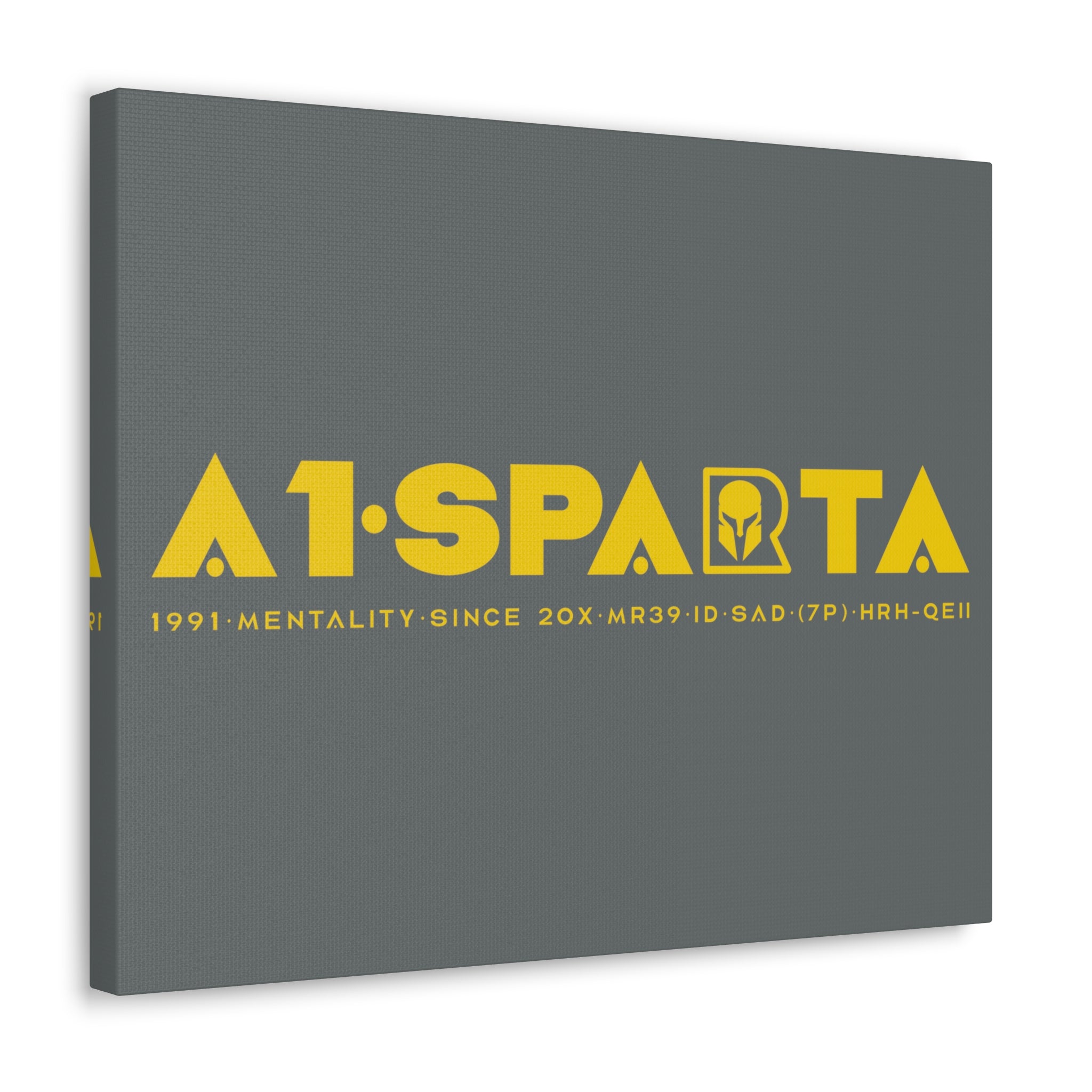 Canvas Gallery Wraps (A1•SPARTA RANGE)
