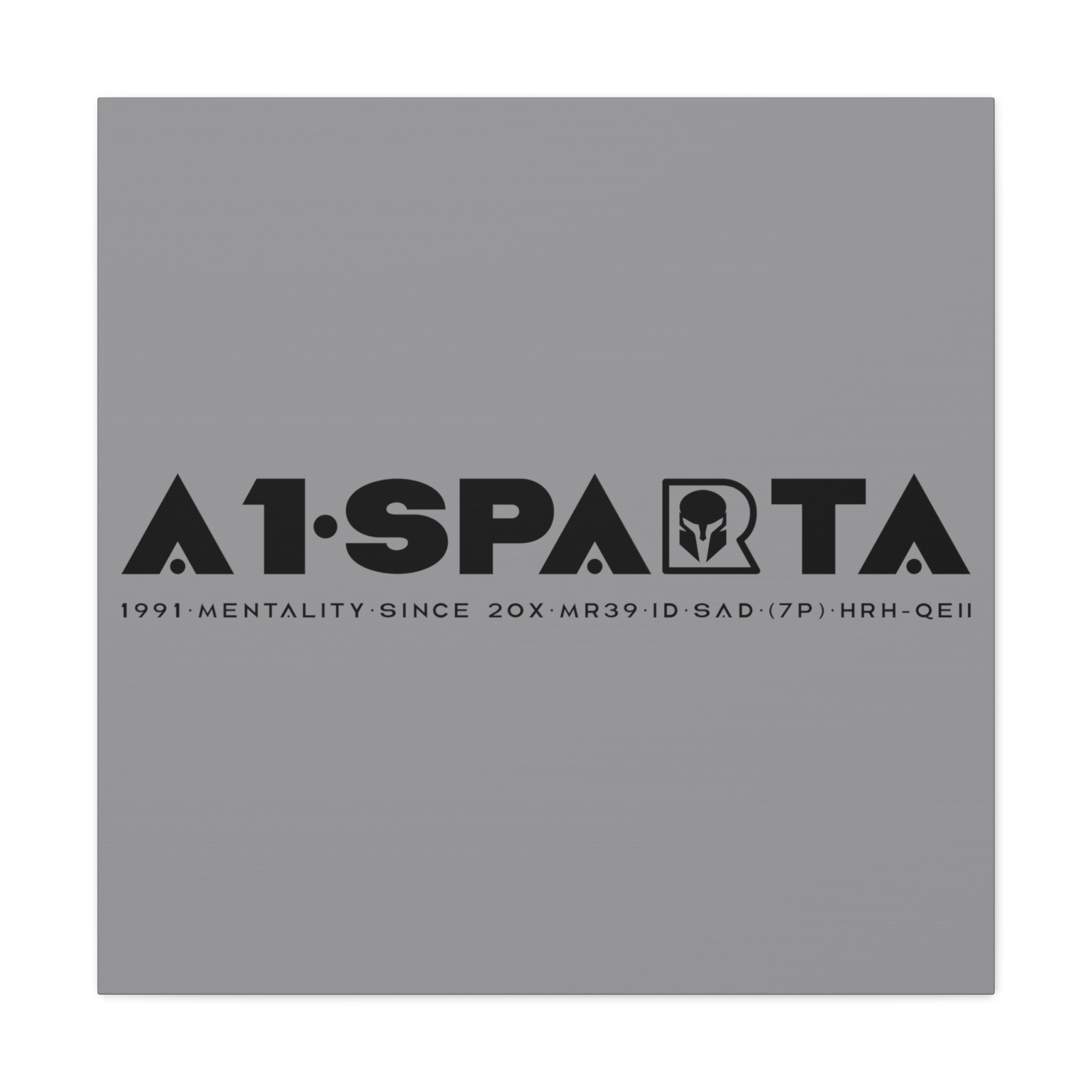 Canvas Gallery Wraps (A1•SPARTA RANGE)