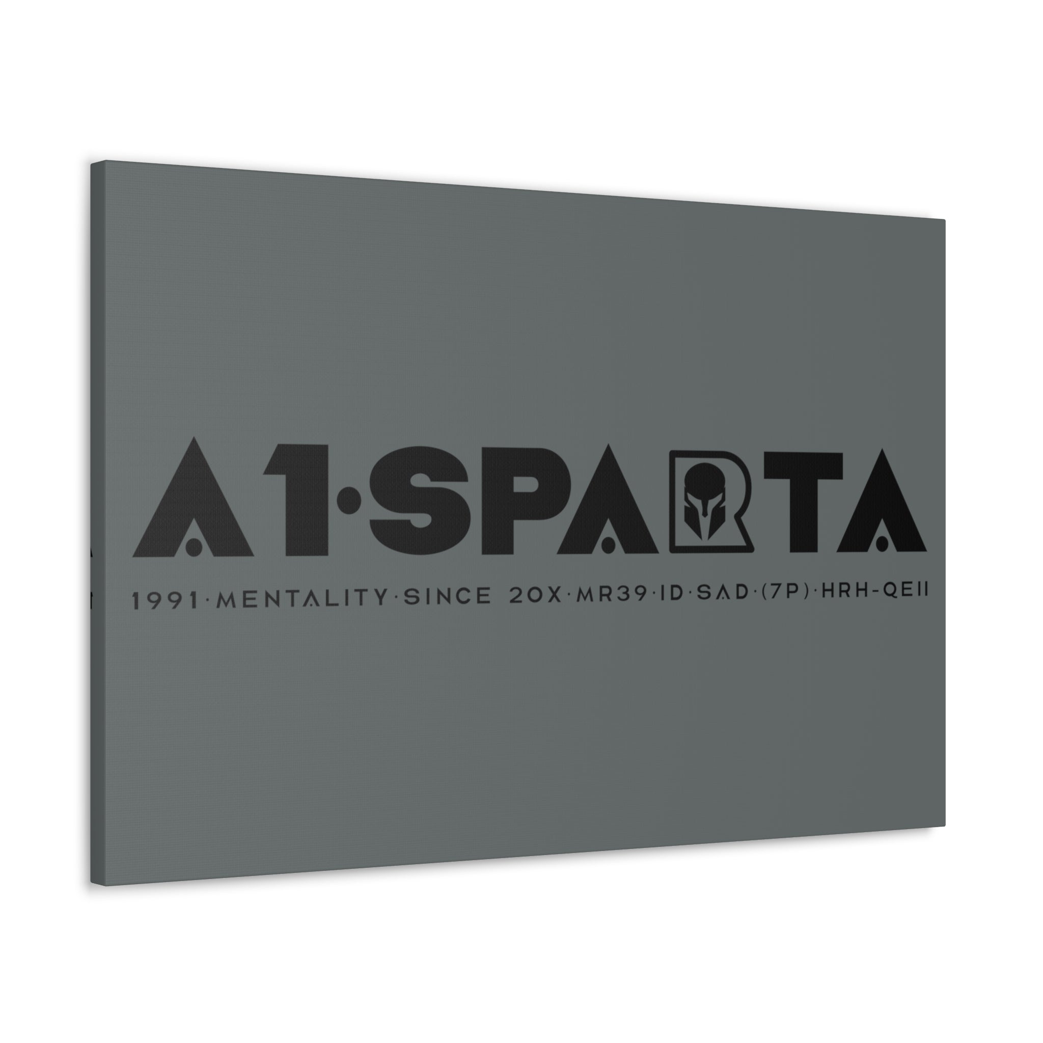 Canvas Gallery Wraps (A1•SPARTA RANGE)