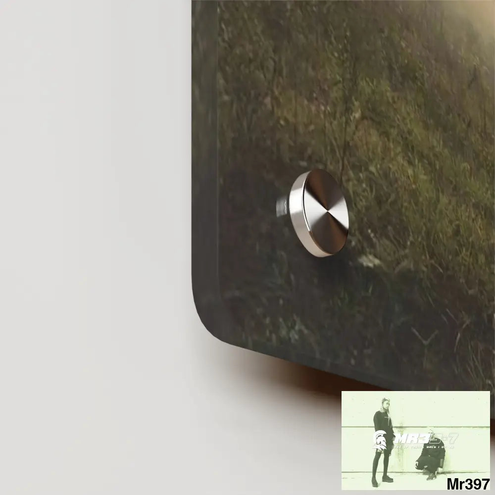 A Who Dares Wins (ID) RSF 2016 All over Thailand owning Hell Acrylic Wall Art Panels Home Decor