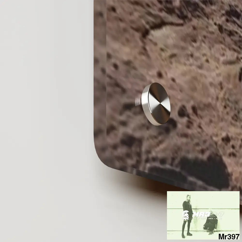 A Who Dares Wins (ID) RSF Jordan Break from Madness 2014 Acrylic Wall Art Panels Home Decor