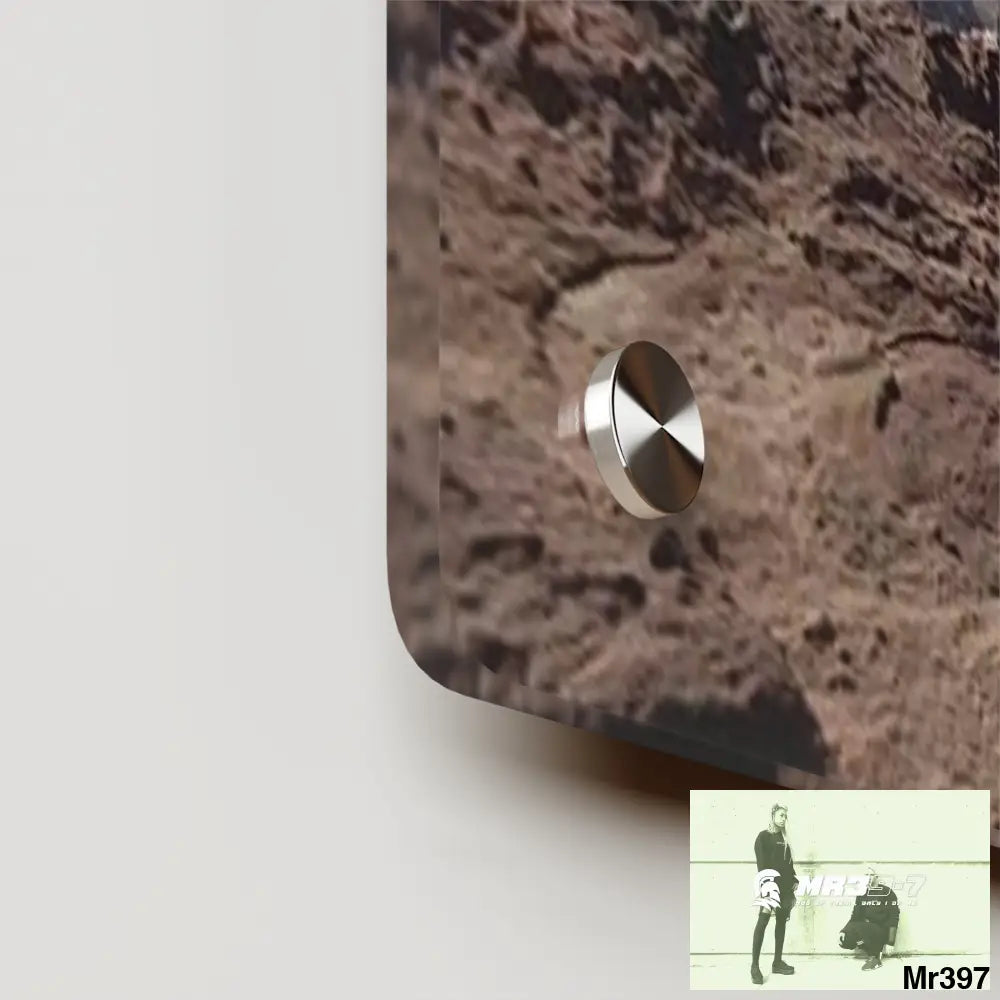 A Who Dares Wins (ID) RSF Jordan Break from Madness 2014 Acrylic Wall Art Panels Home Decor