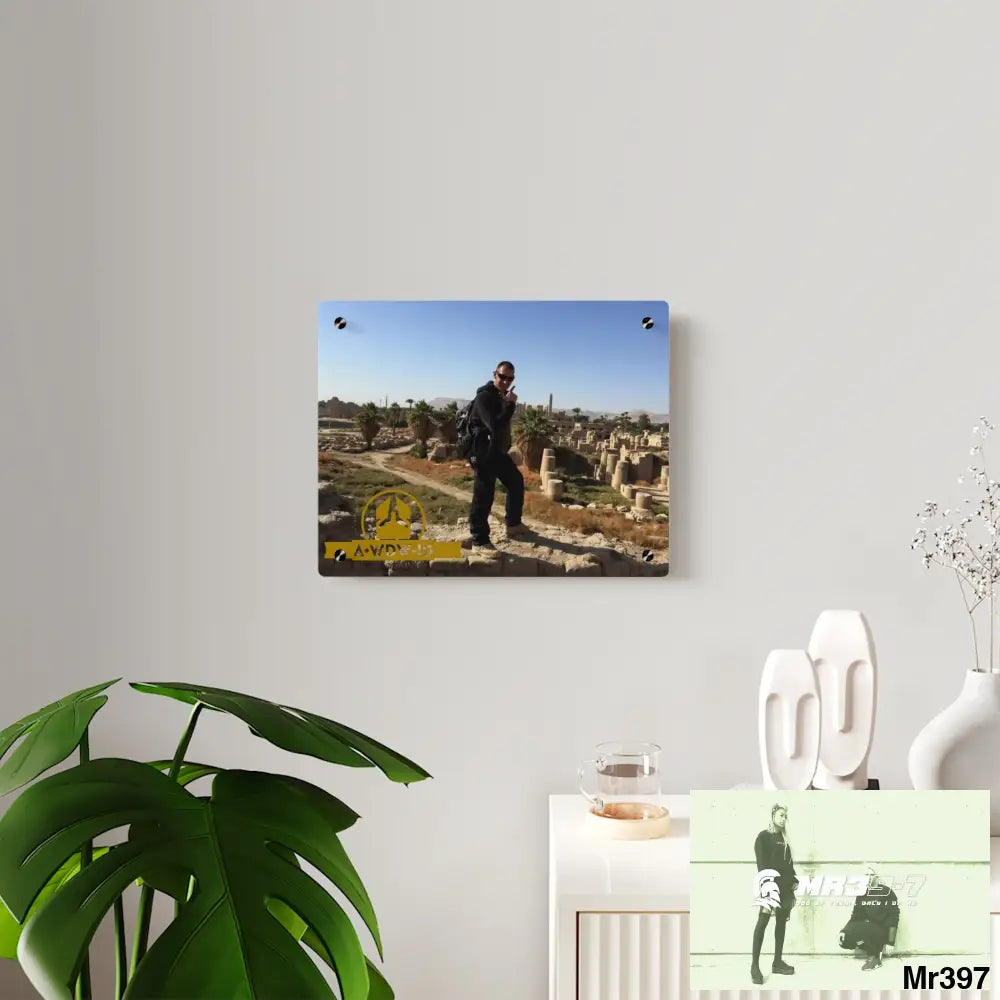 A Who Dares Wins (ID) RSF Luxor Temples heading to Kenya • Acrylic Wall Art Panels Home Decor