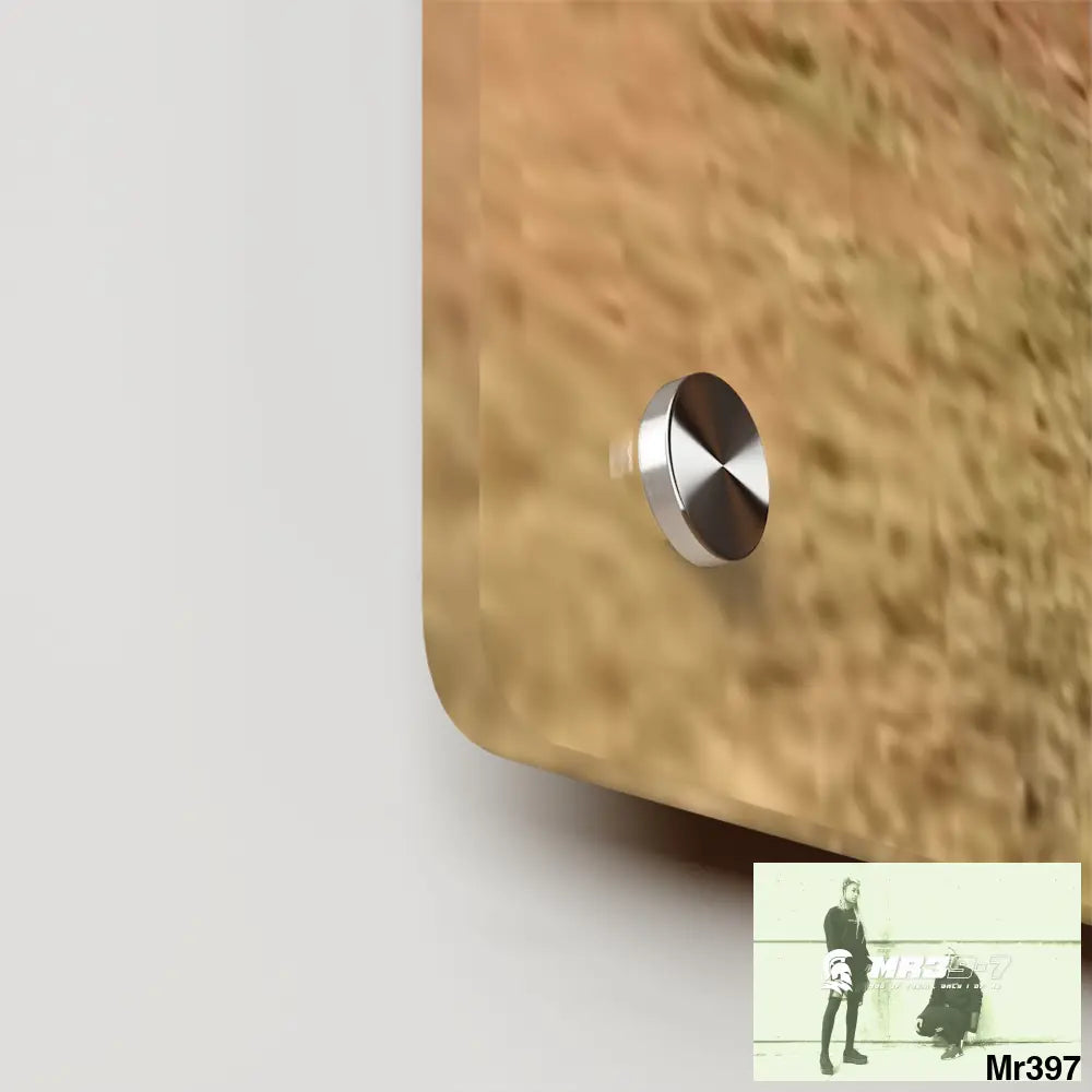 A Who Dares Wins Kenya Equator Tactical pick up 2015 Acrylic Wall Art Panels Home Decor