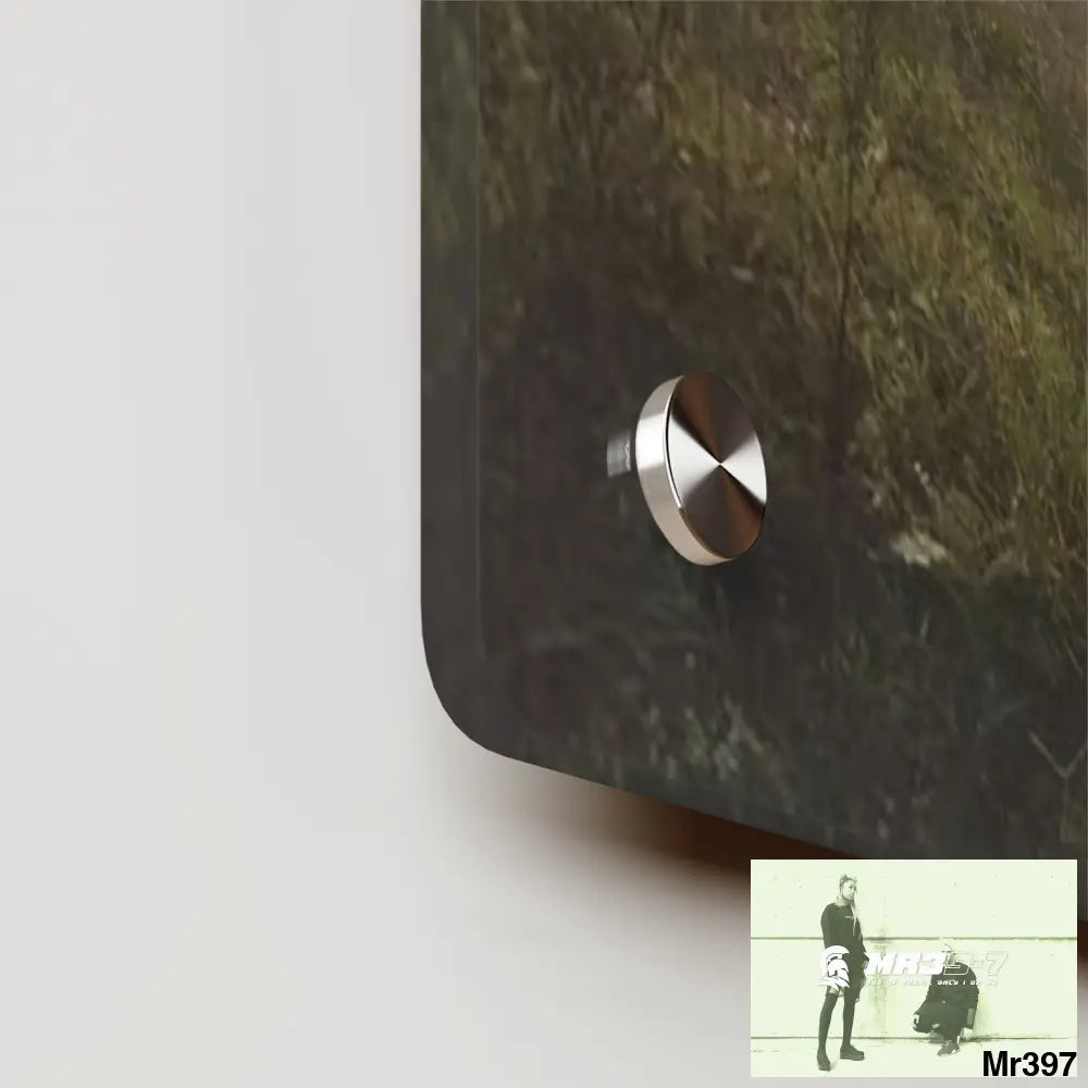 A Who Dares Wins Mentality All over Thailand 2016 owning Hell Acrylic Wall Art Panels Home Decor