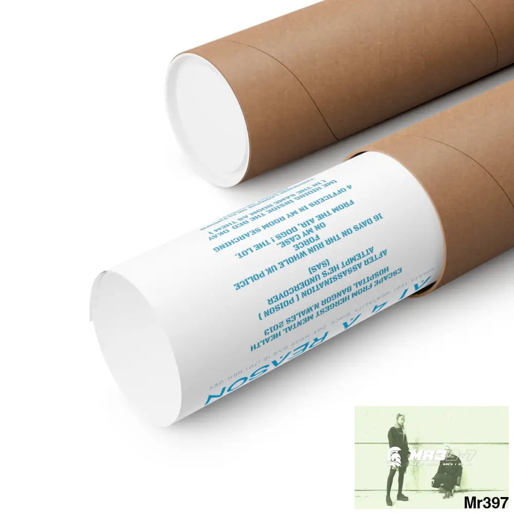 A1 4 A Reason Escape from Hergest MH Hospital 2013 Matte Vertical Posters Poster