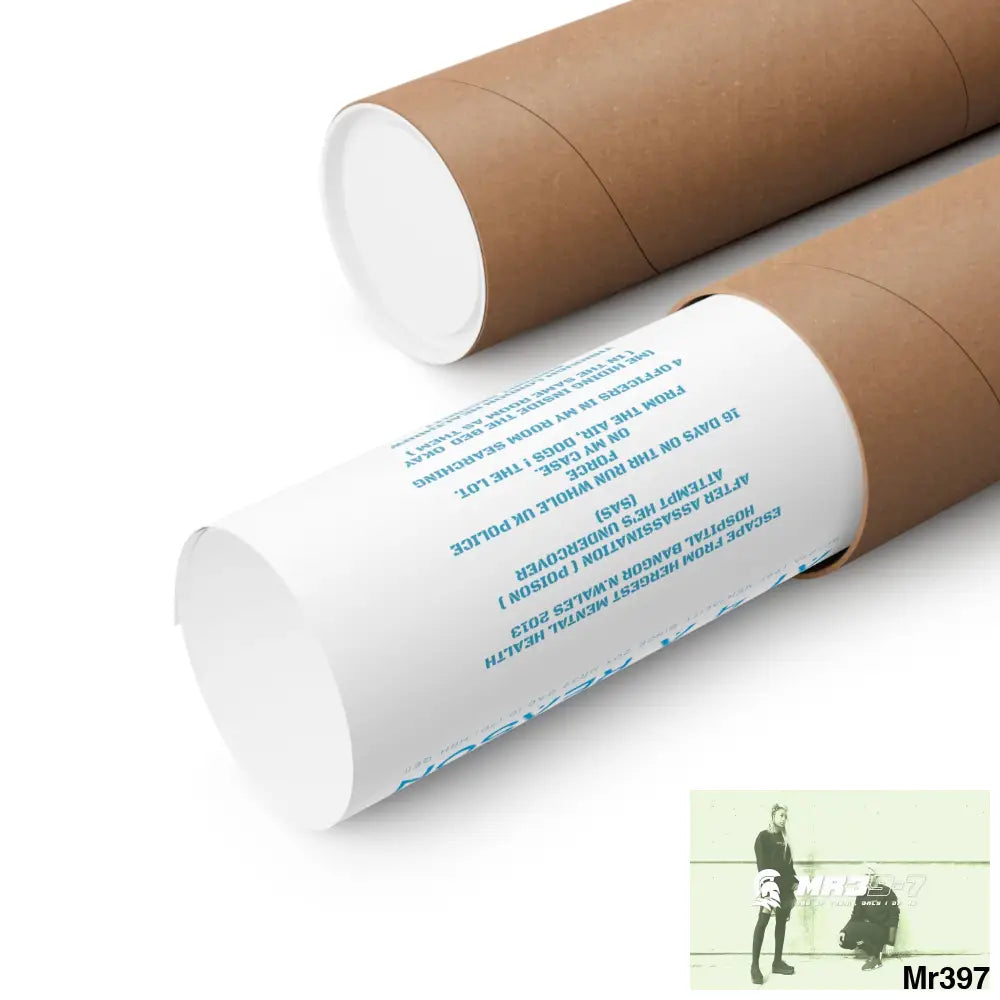 A1 4 A Reason Escape from Hergest MH Hospital 2013 Matte Vertical Posters Poster