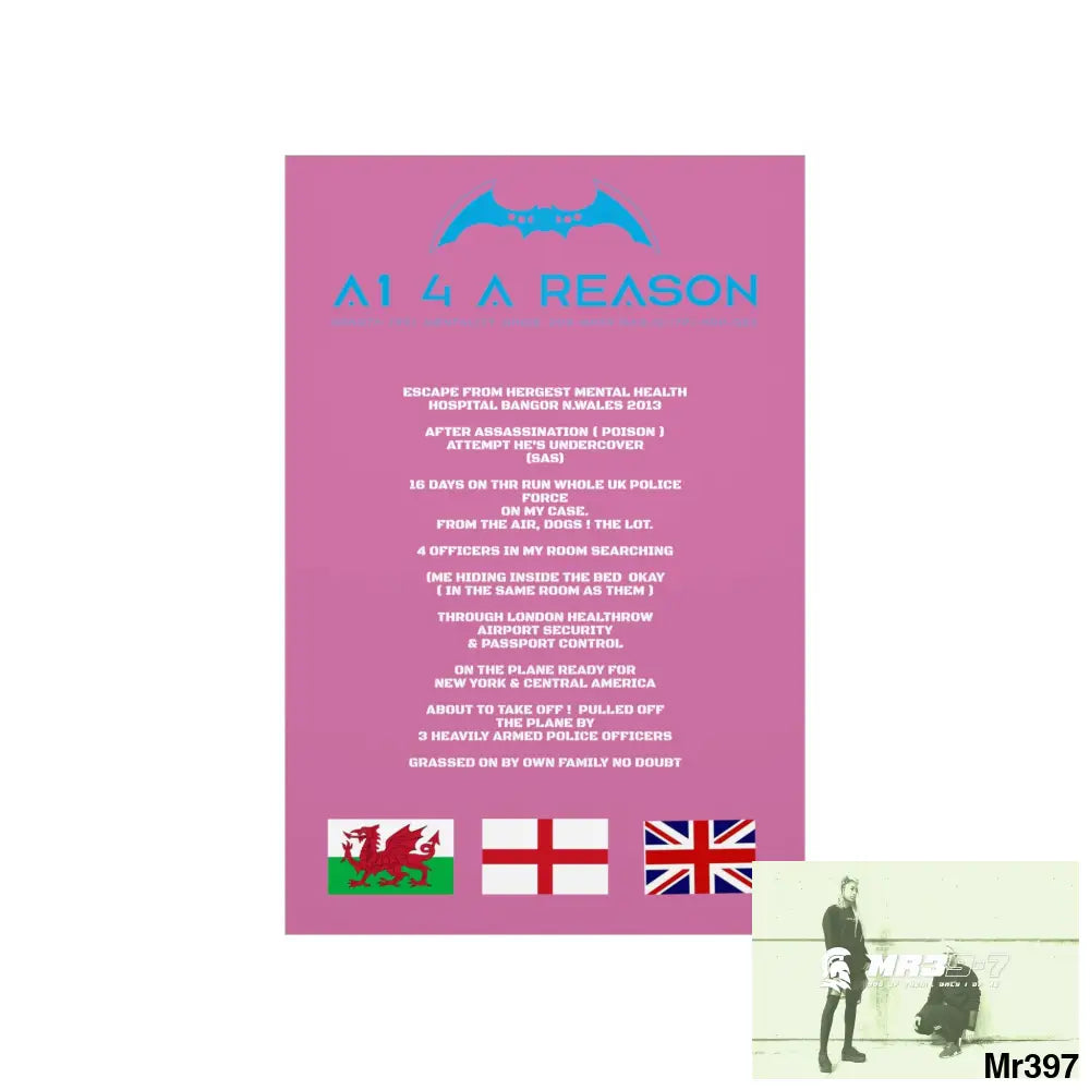 A1 4 A Reason Escape from Hergest MH Hospital 2013 Matte Vertical Posters Poster