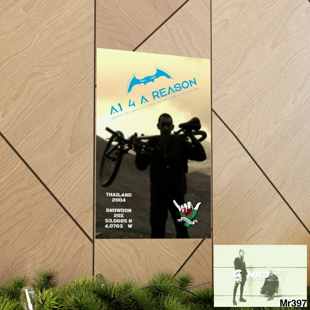 A1 4 A Reason My birthday Beating not 20X Snowdon Matte Vertical Posters Poster