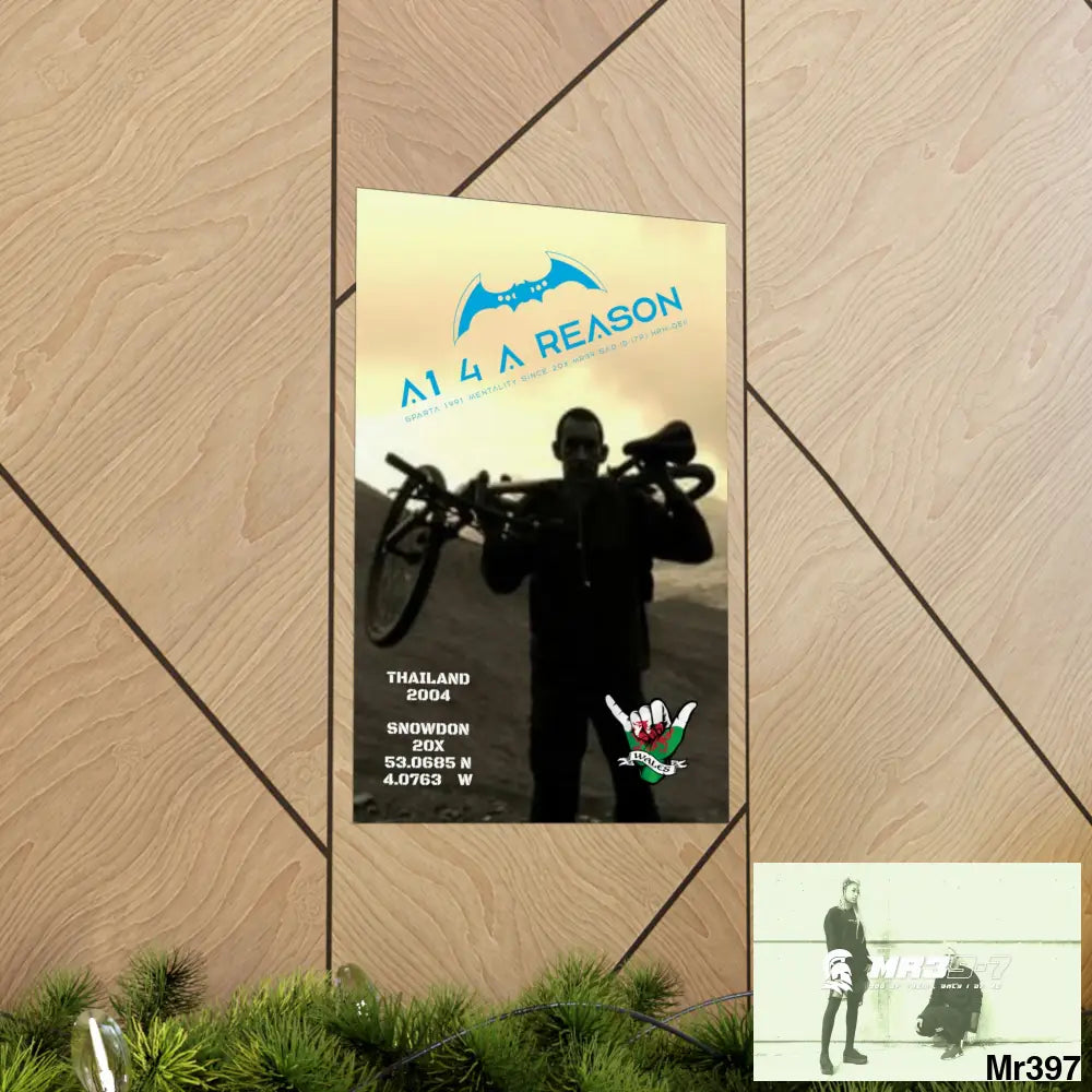 A1 4 A Reason My birthday Beating not 20X Snowdon Matte Vertical Posters Poster