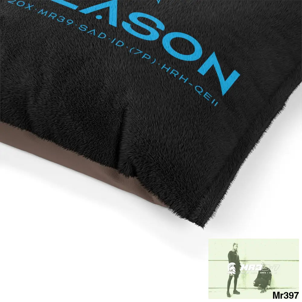 A1 4 A Reason Pet Bed Pets