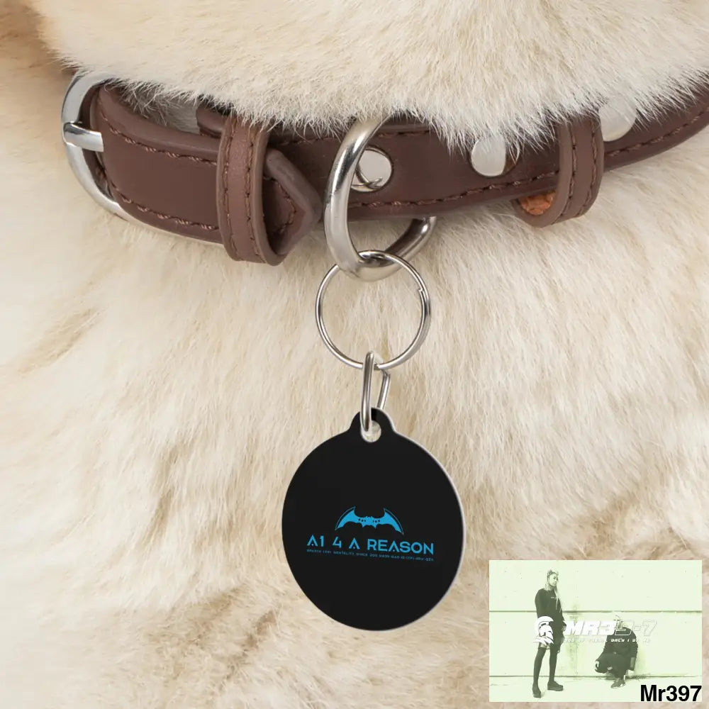 A1 4 A Reason Pet Tag 1’’ Pets
