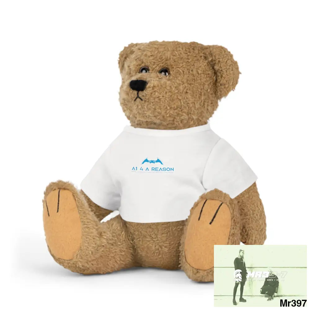 A1 4 A Reason Plush Toy with T-Shirt Accessories