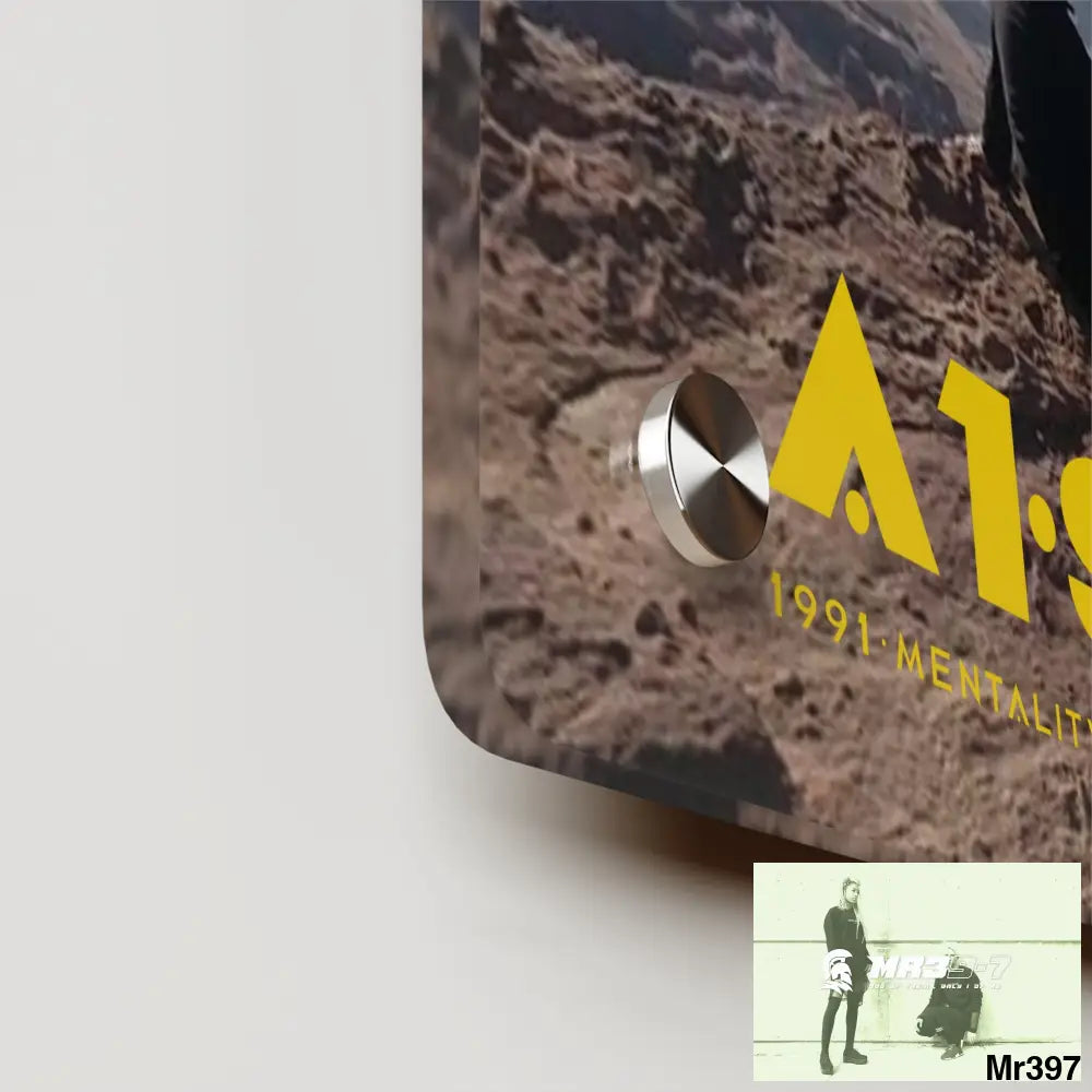 A1-Sparta Jordan Break from Madness 2014 Acrylic Wall Art Panels Home Decor