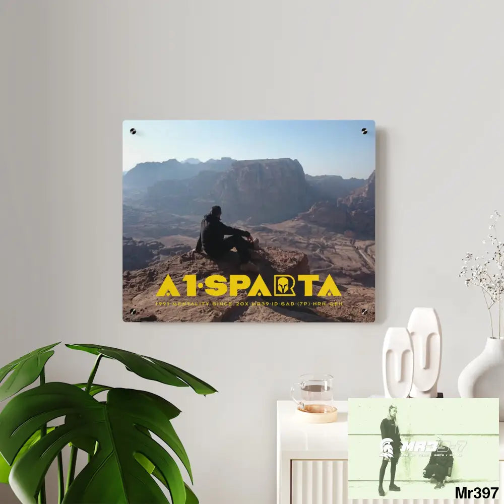 A1-Sparta Jordan Break from Madness 2014 Acrylic Wall Art Panels Home Decor