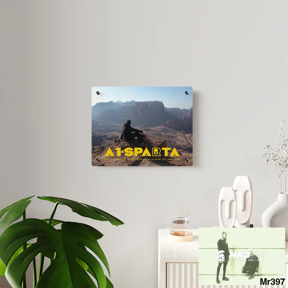 A1-Sparta Jordan Break from Madness 2014 Acrylic Wall Art Panels Home Decor