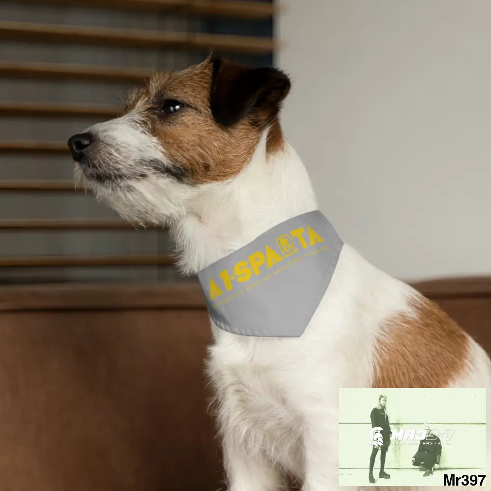 A1--Sparta Pet Bandana Collar Pets