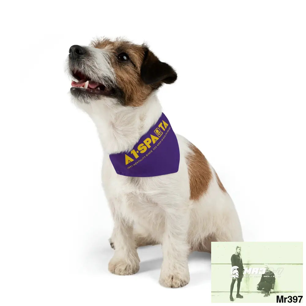 A1--Sparta Pet Bandana Collar Pets