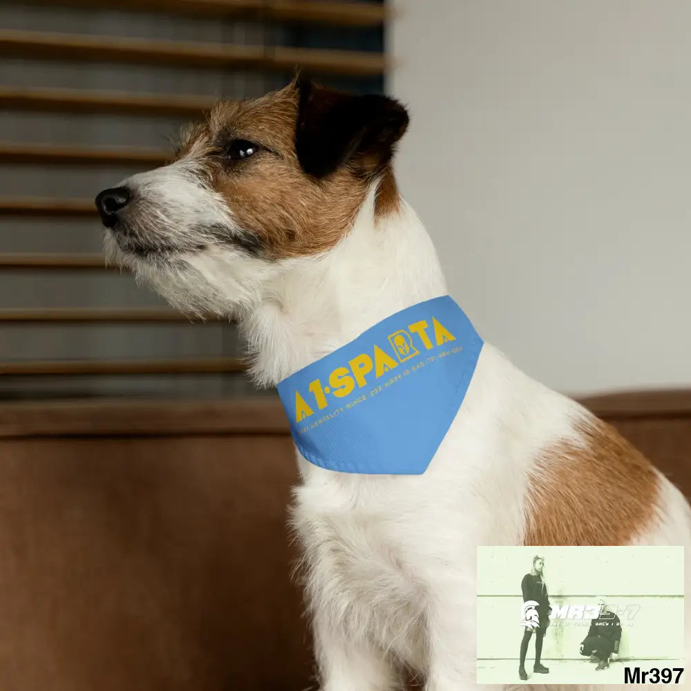 A1--Sparta Pet Bandana Collar Pets